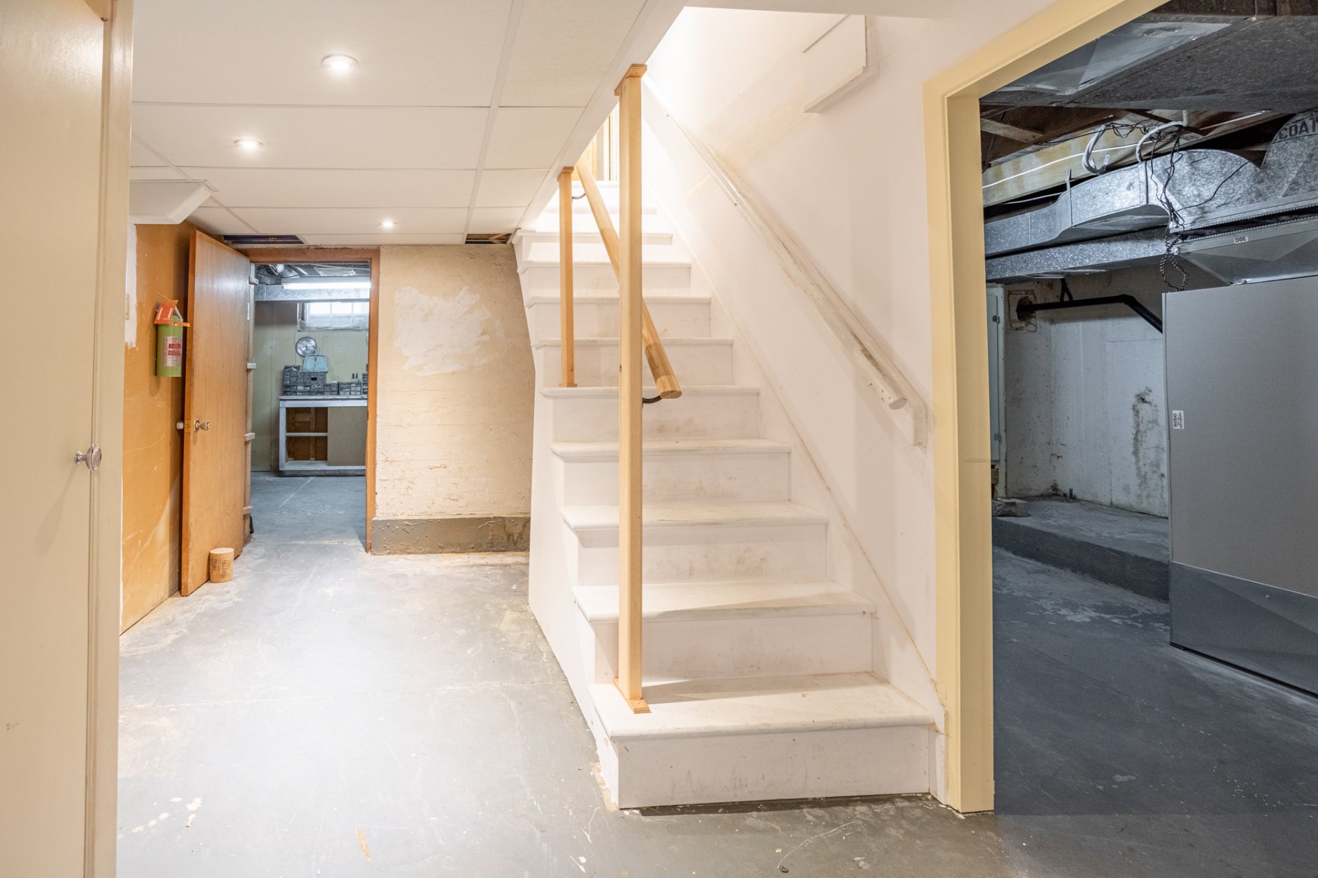 Basement
