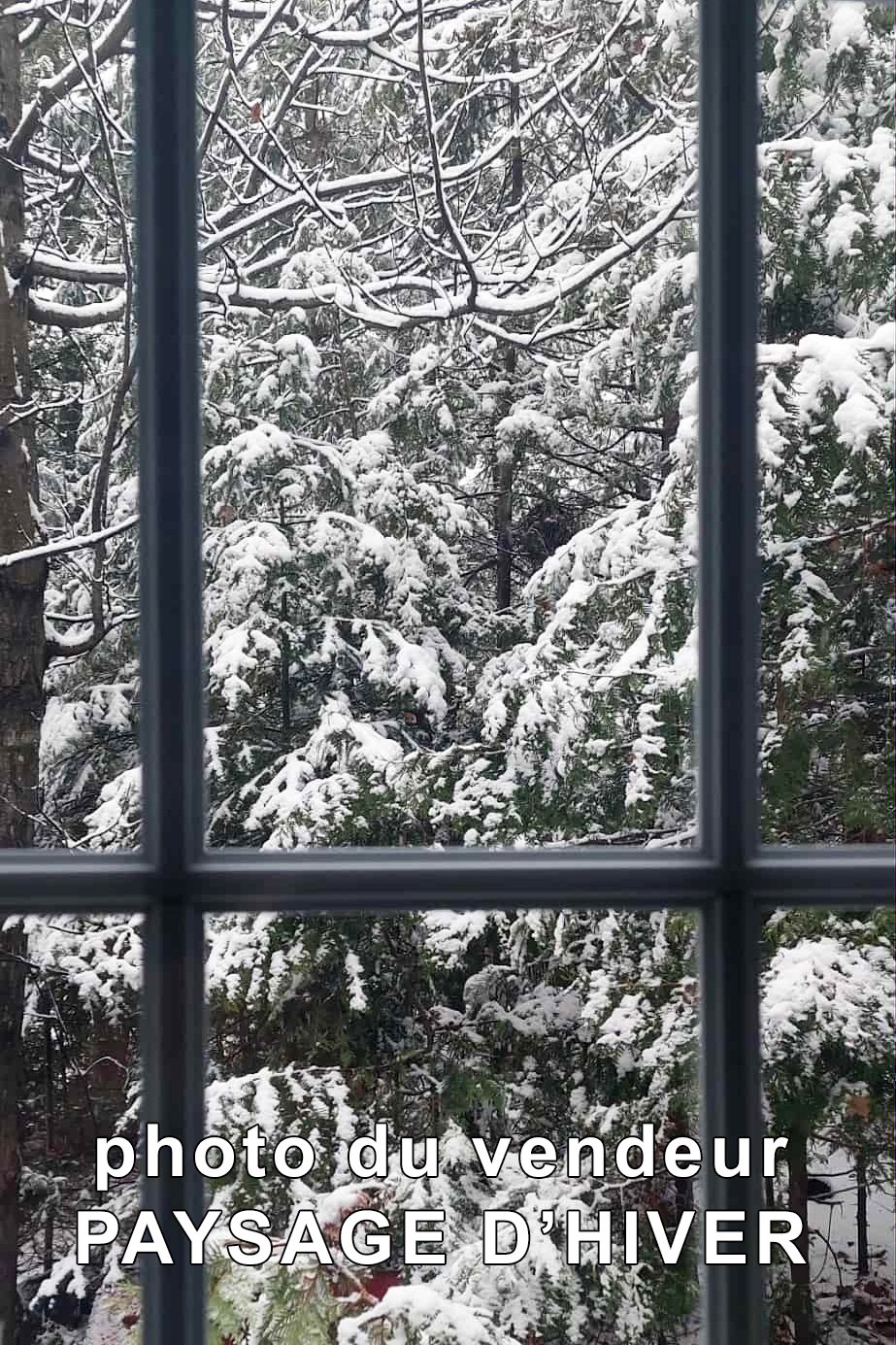 Paysage d'hiver - Photo du vendeur