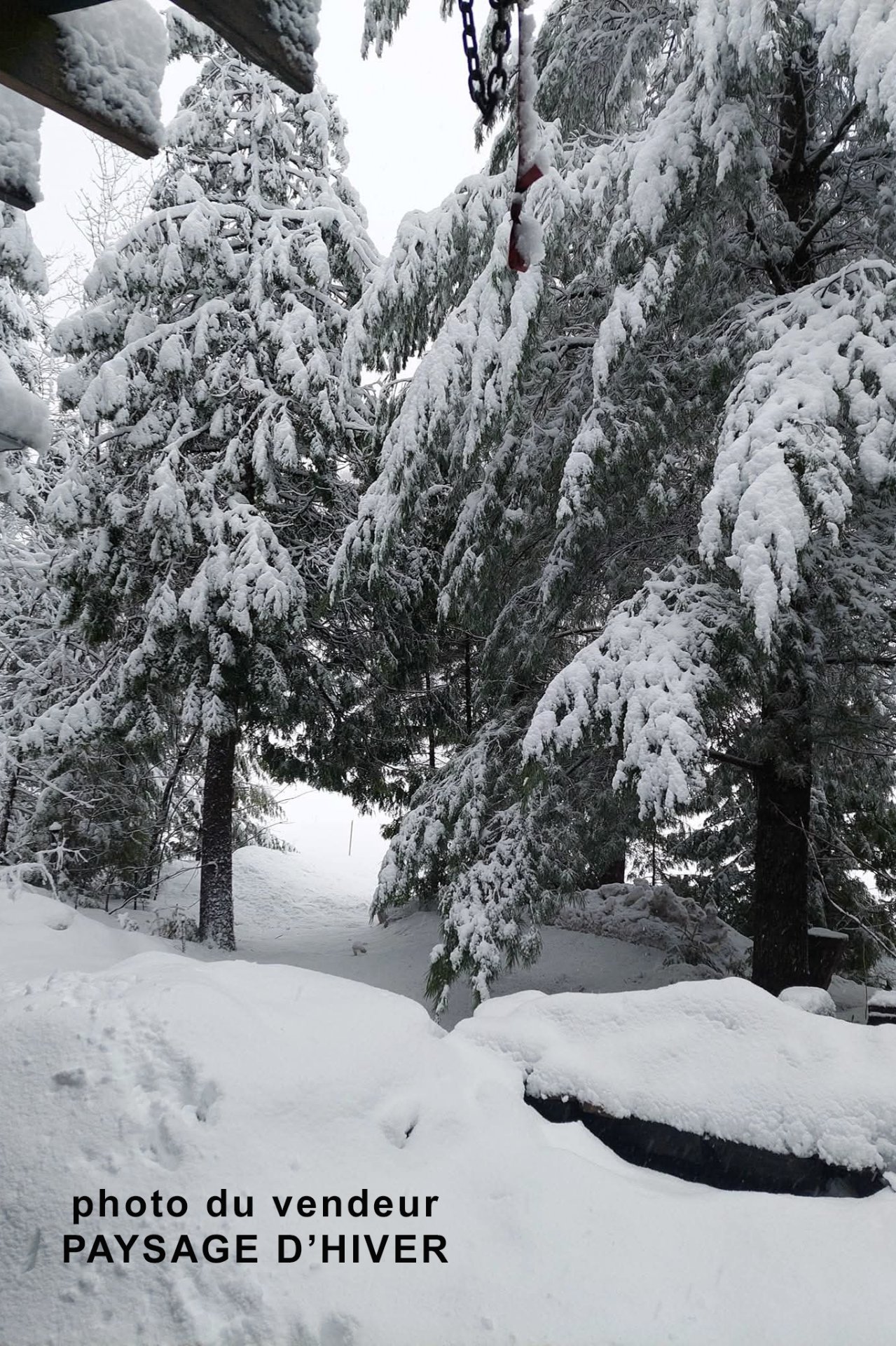 Paysage d'hiver - Photo du vendeur