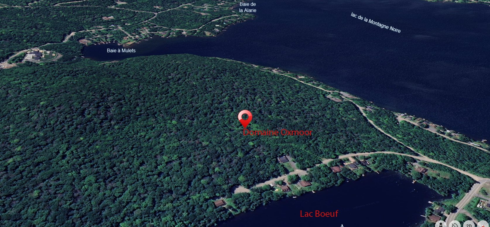 Drawing (sketch)