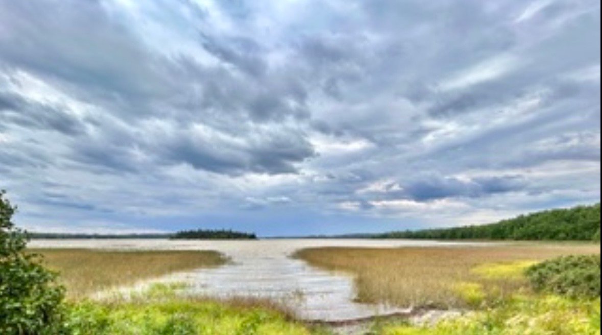 Bord de l'eau