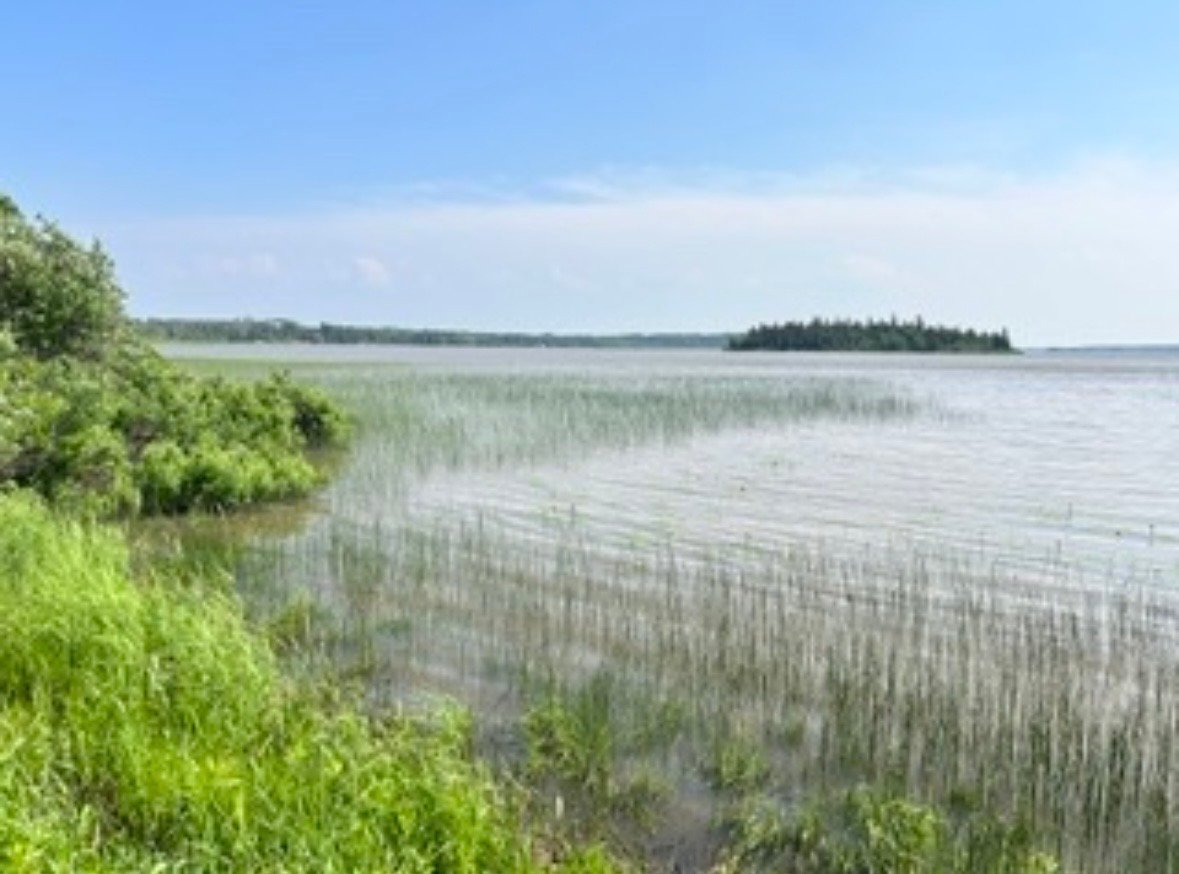 Bord de l'eau