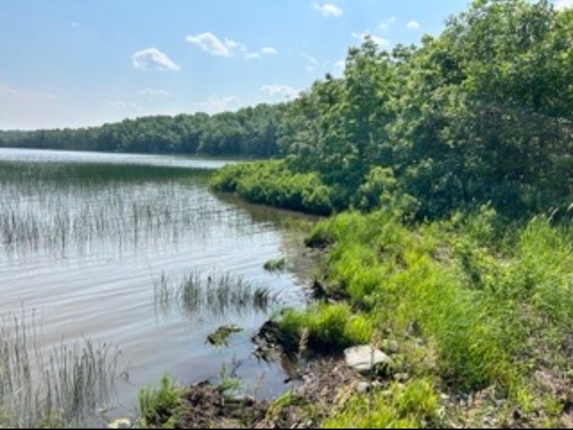 Bord de l'eau