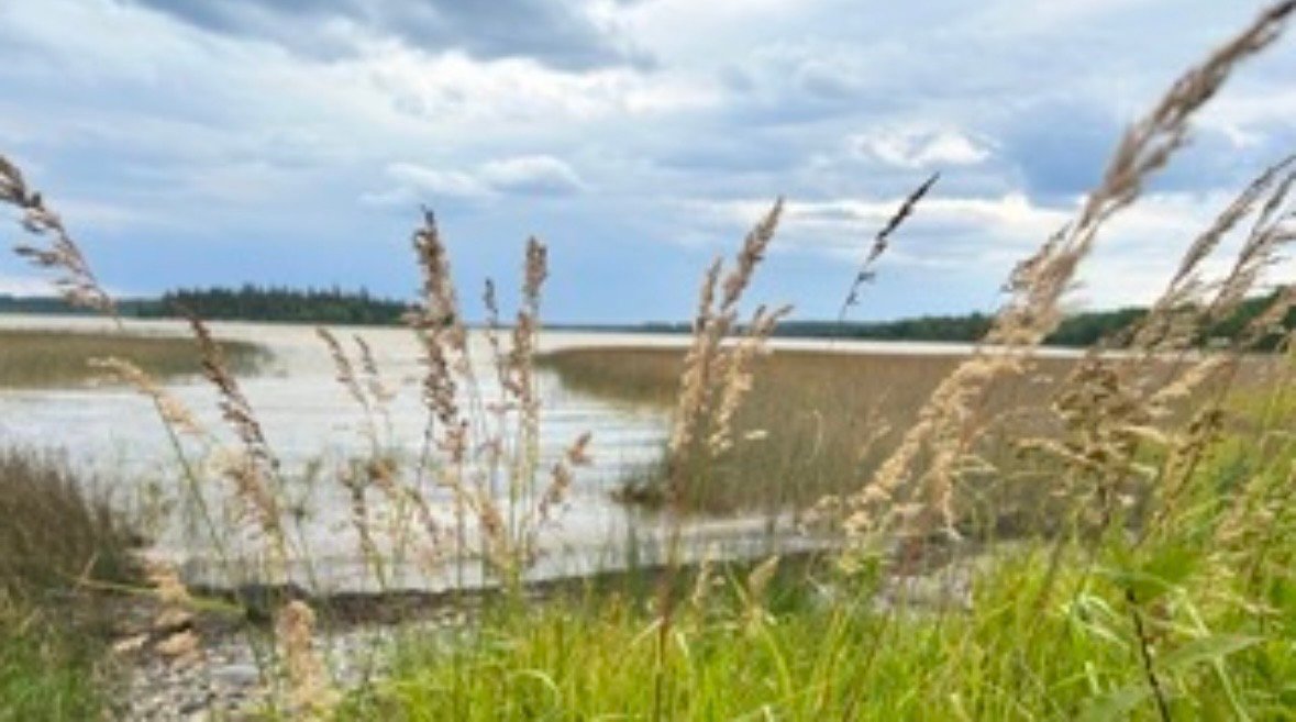 Bord de l'eau