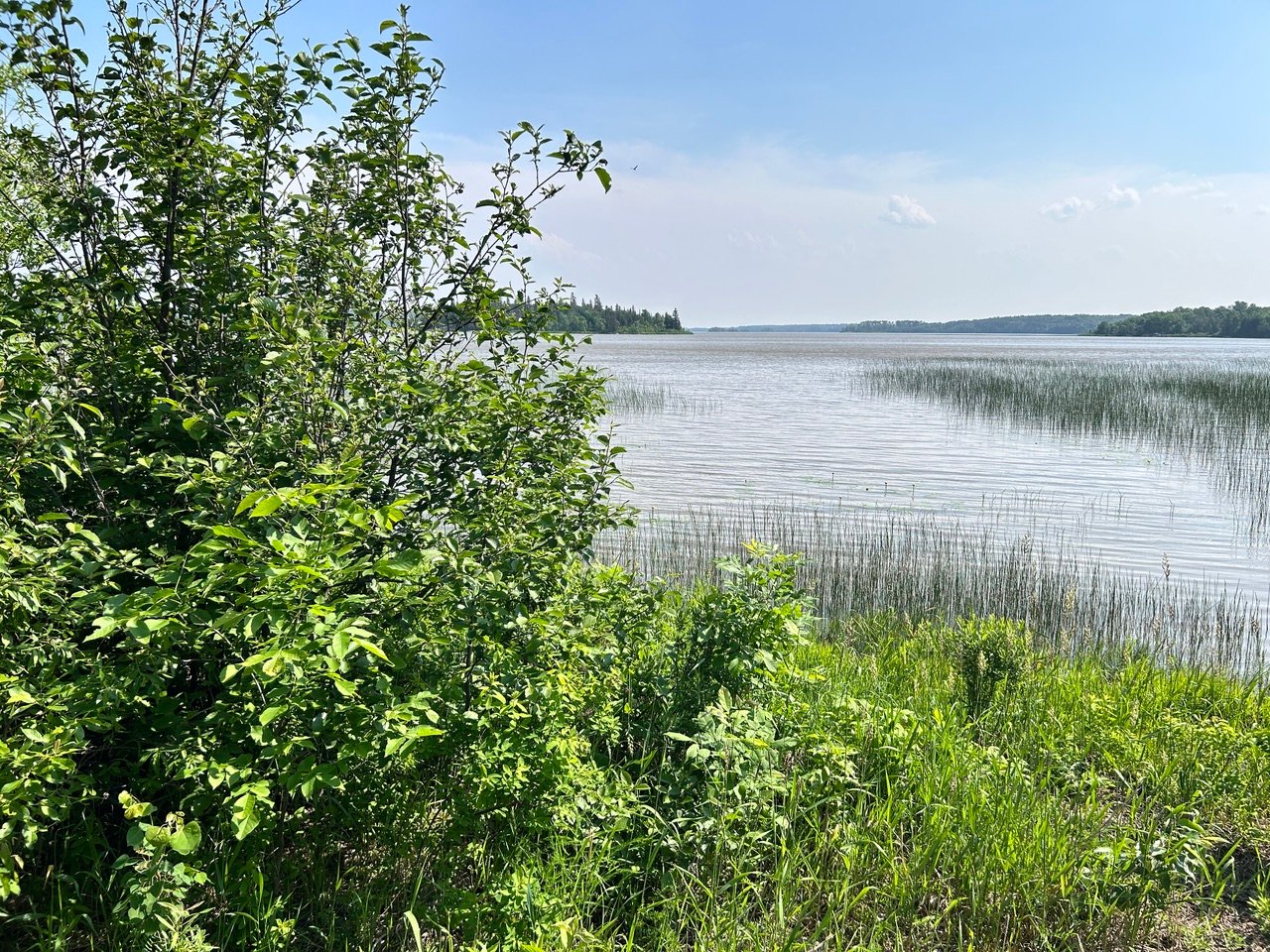 Waterfront