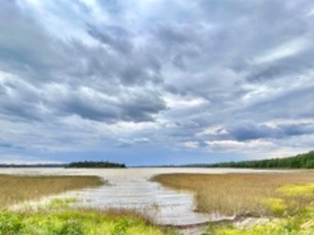 Bord de l'eau