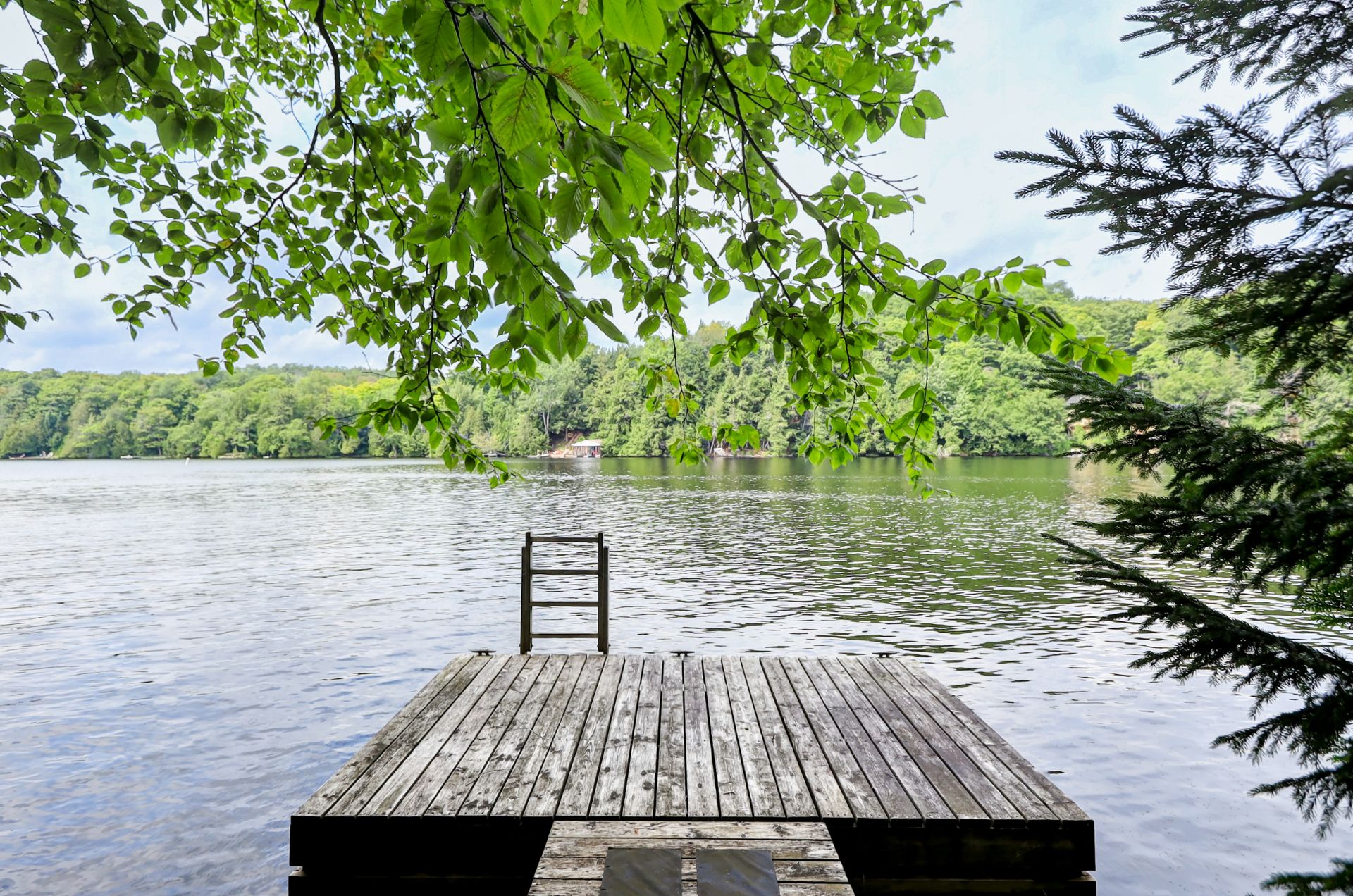 Bord de l'eau