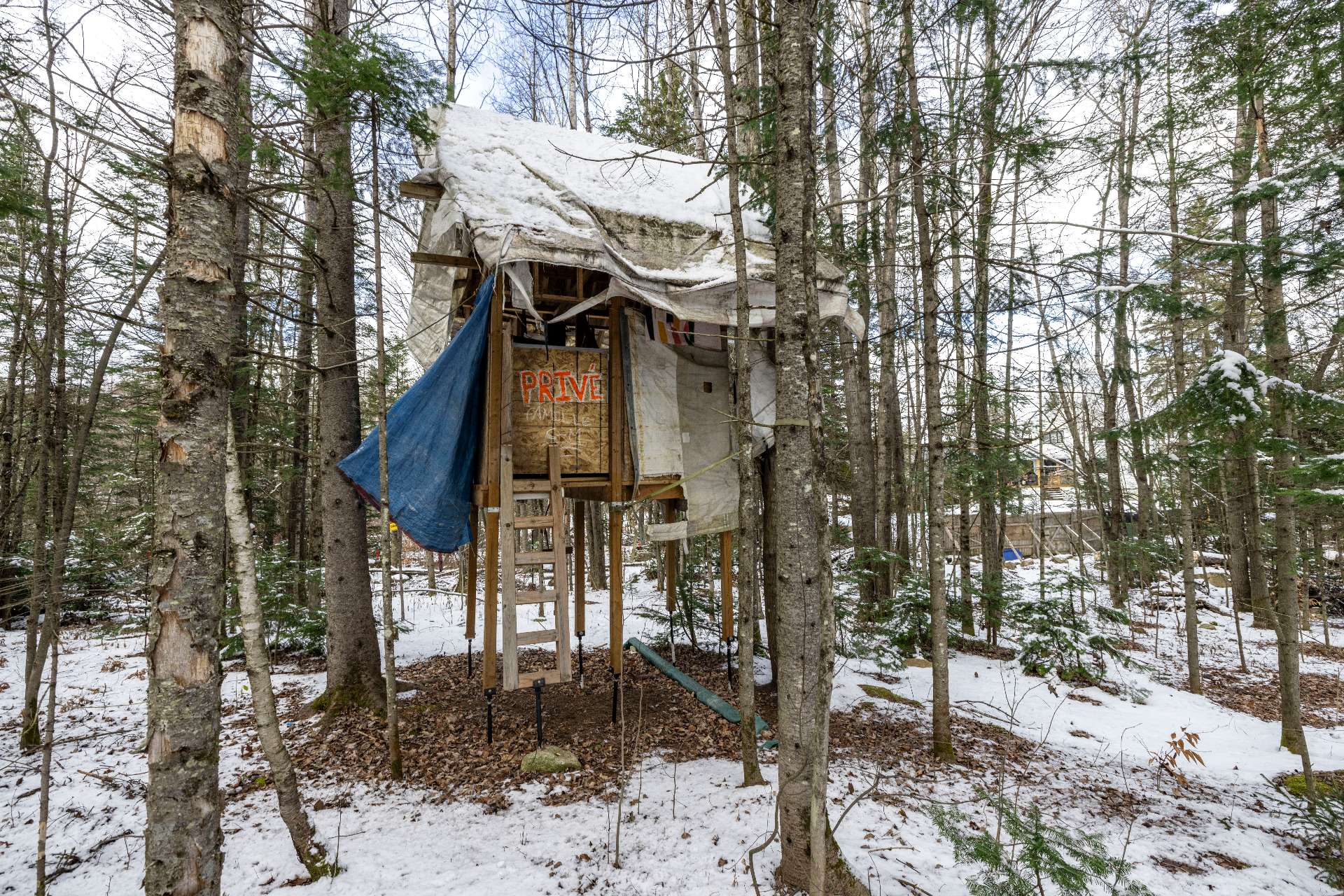 Cabane
