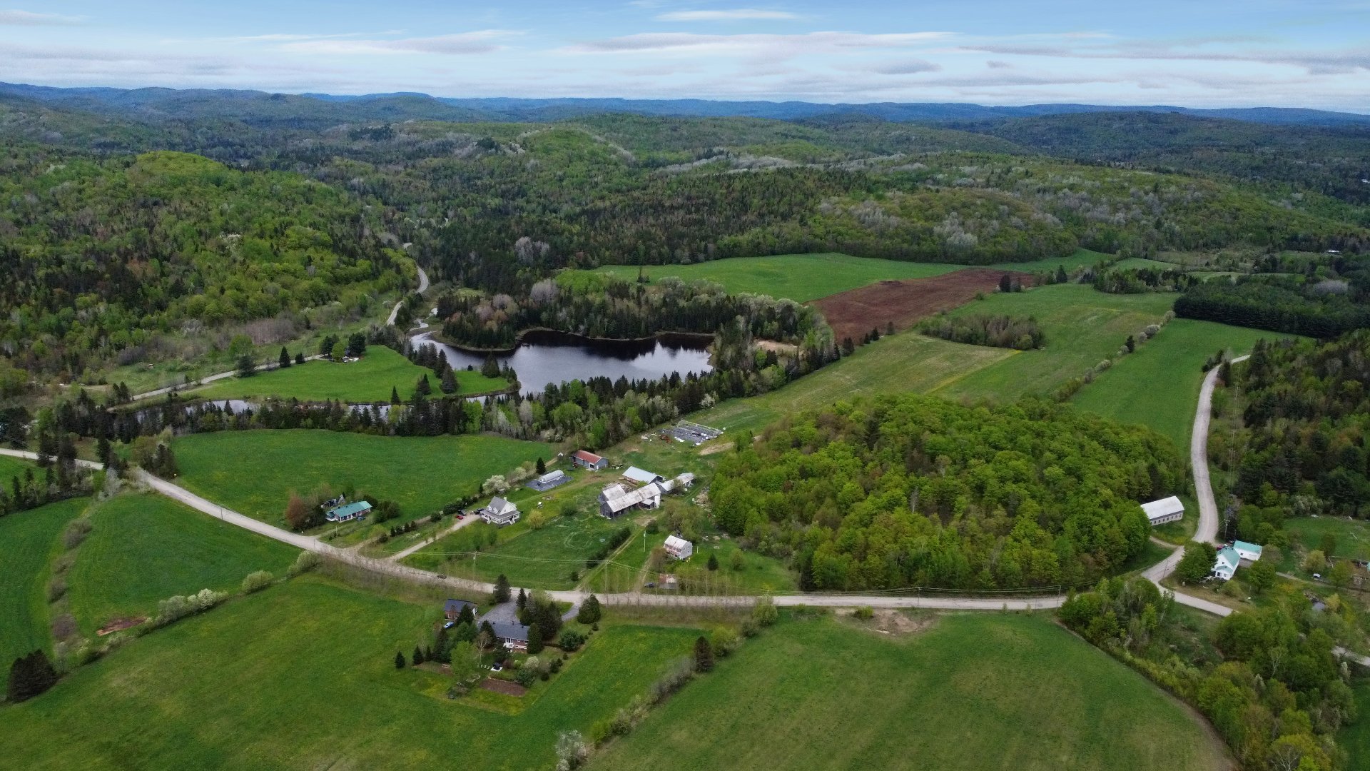 Aerial photo