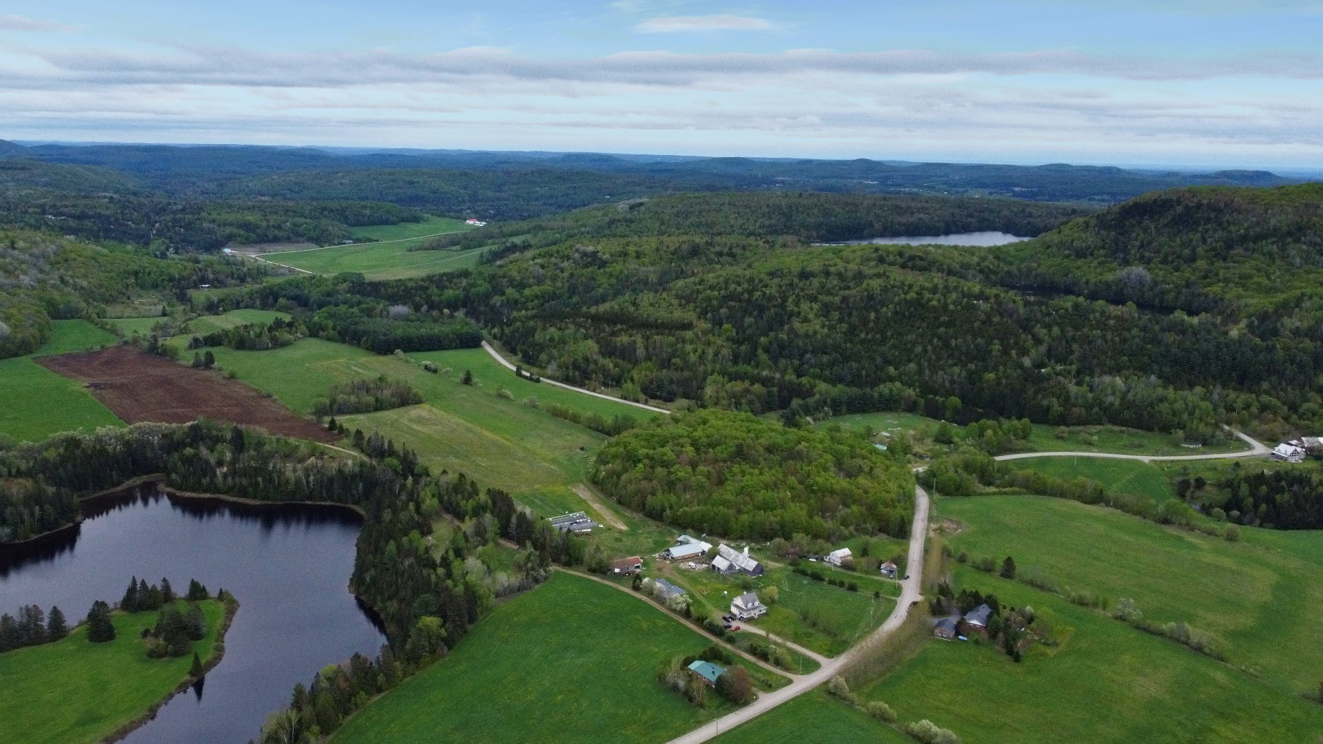 Aerial photo