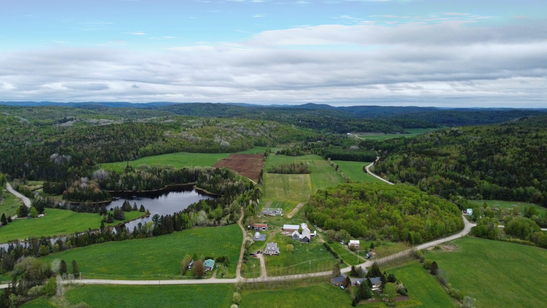 Aerial photo