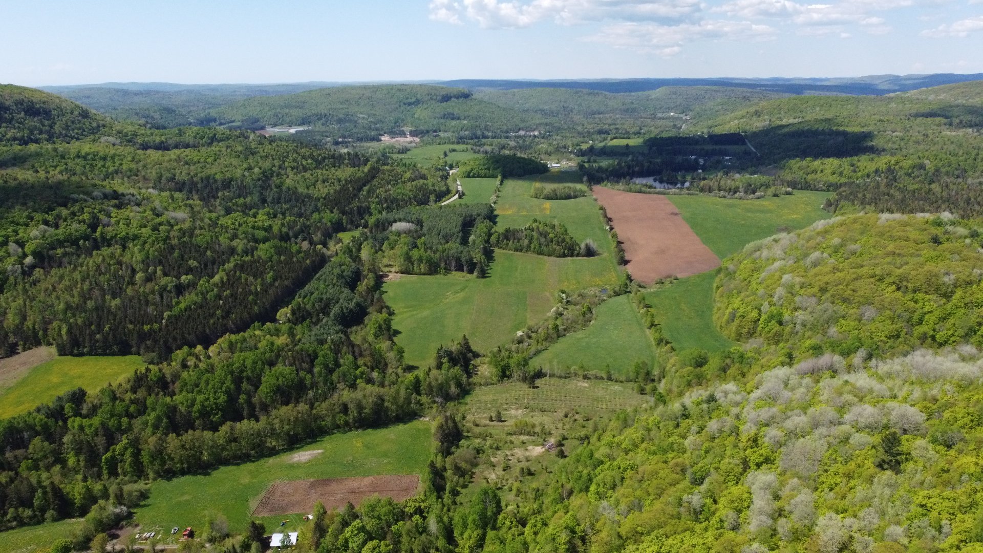 Aerial photo