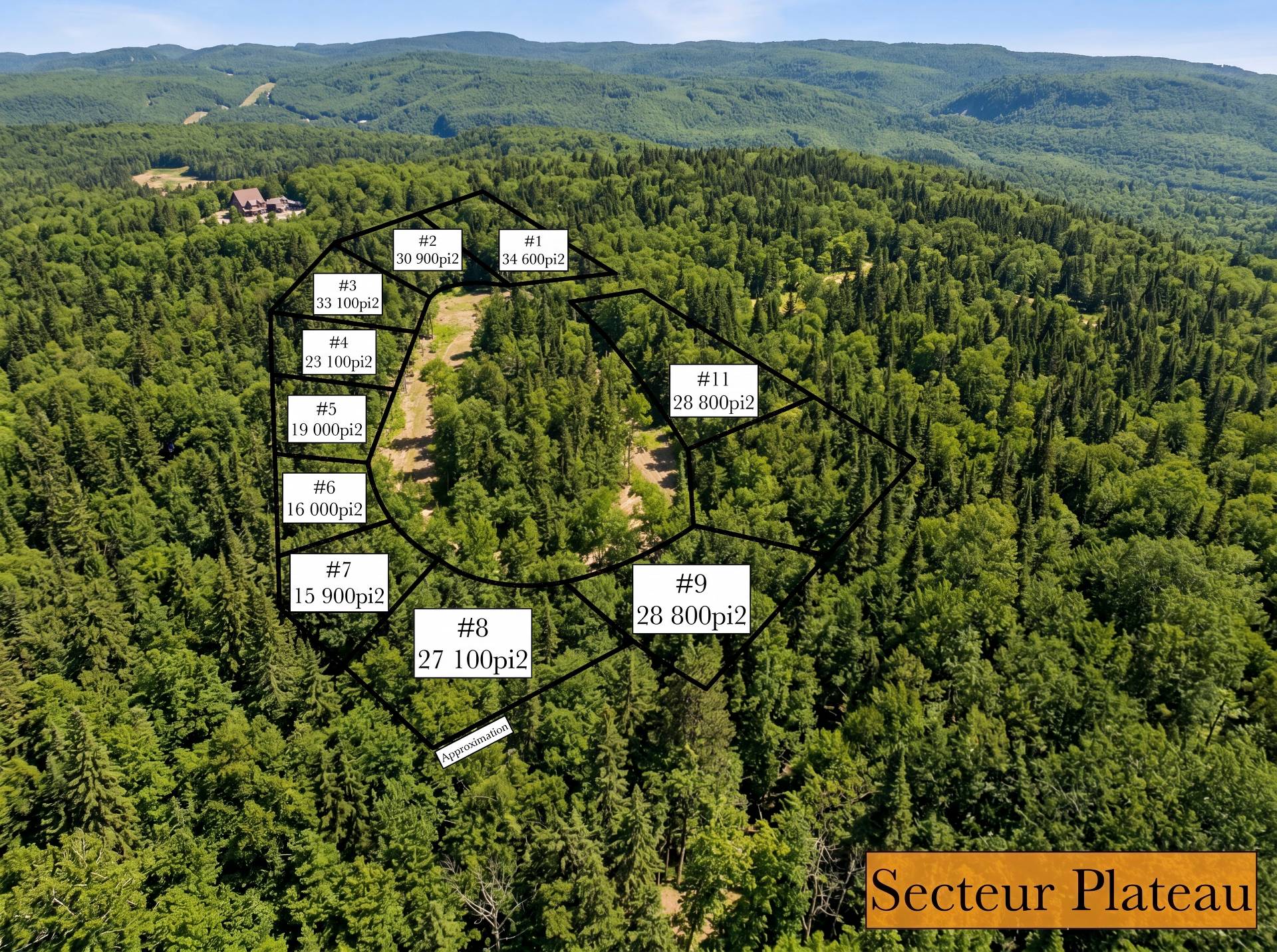 Aerial photo