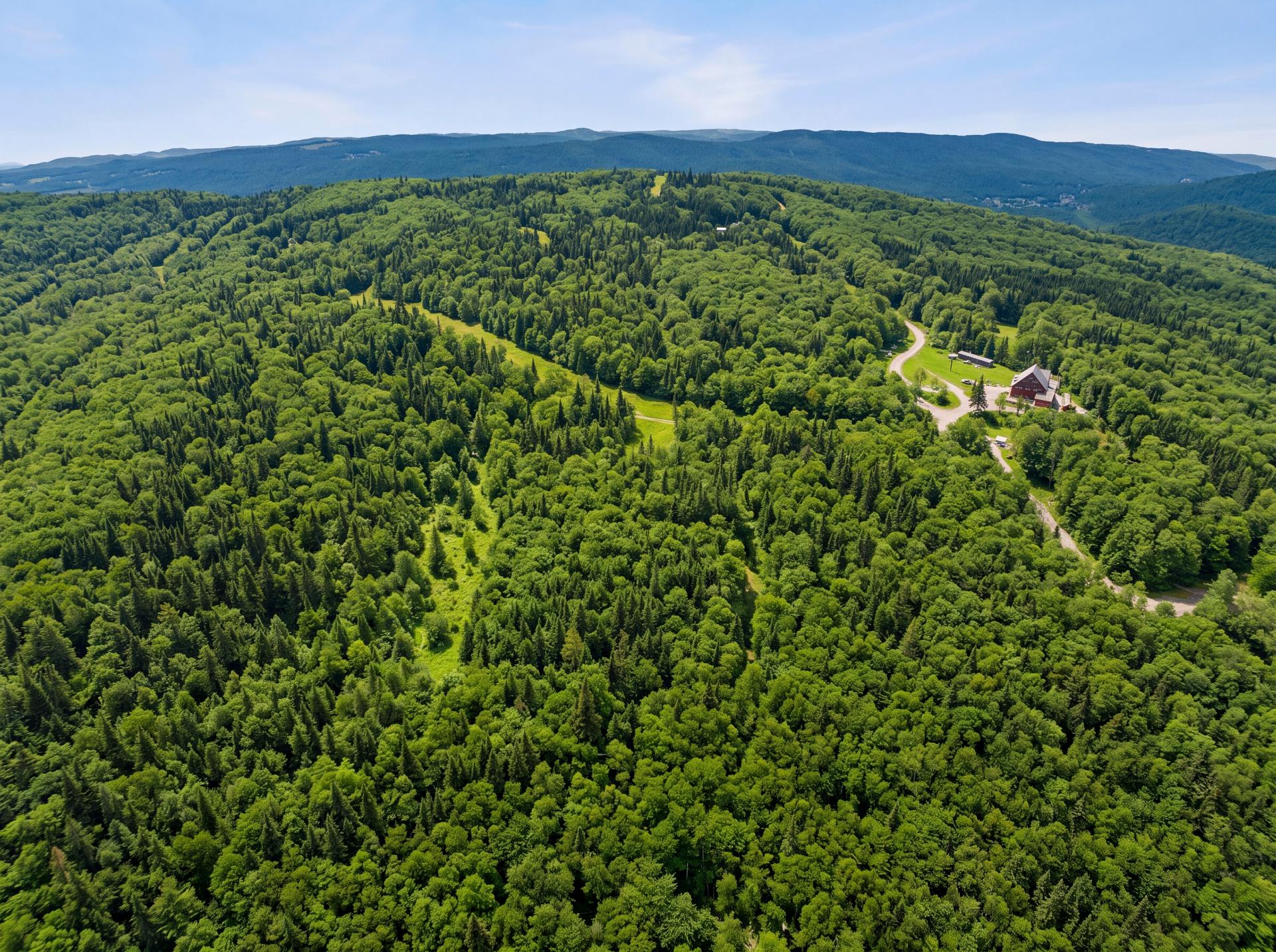Aerial photo