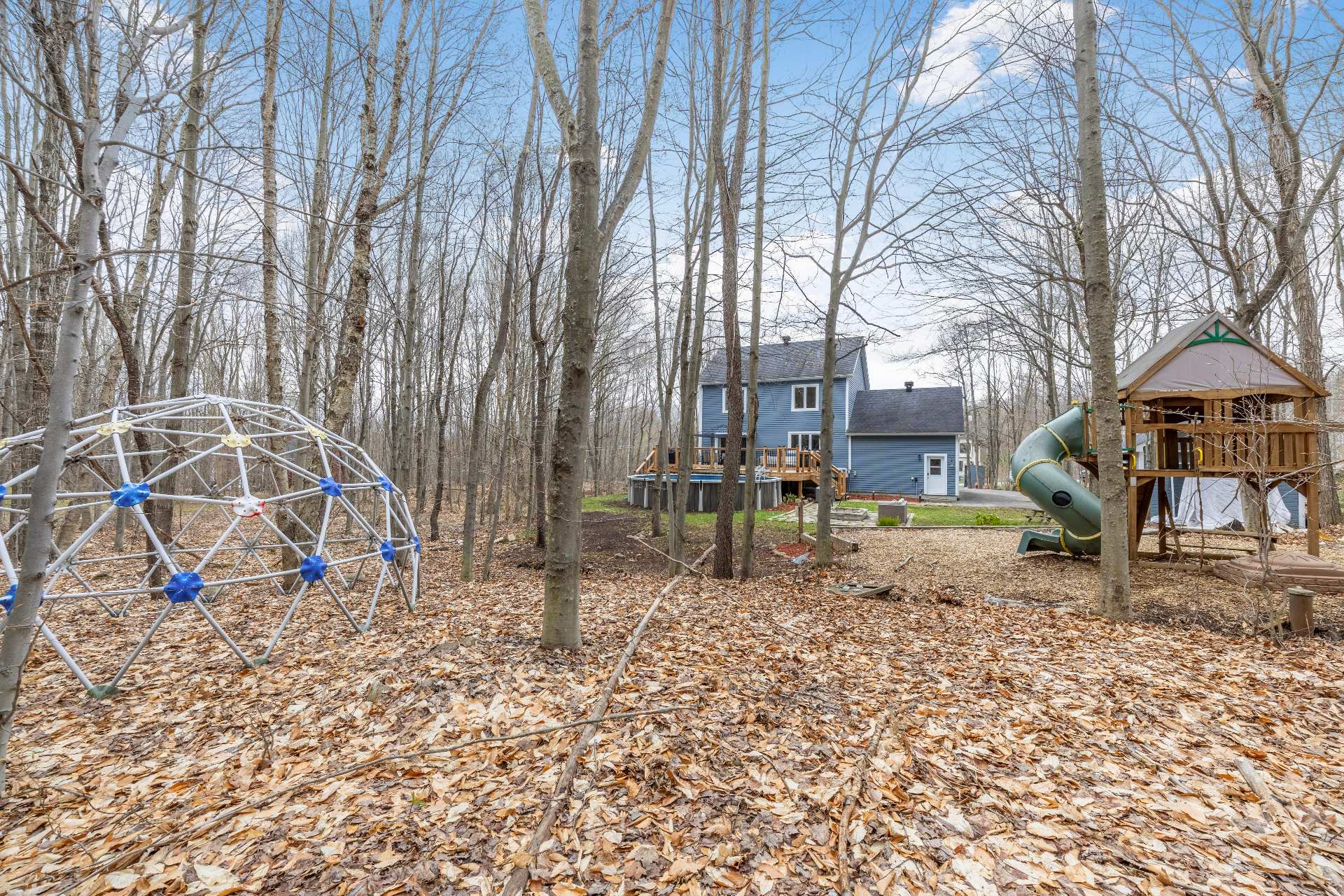 Backyard
