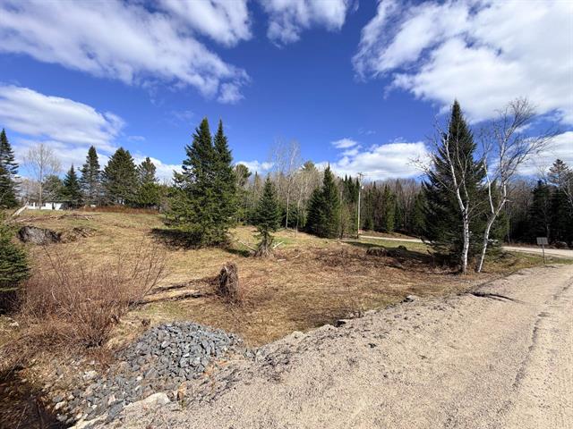 Land/Lot