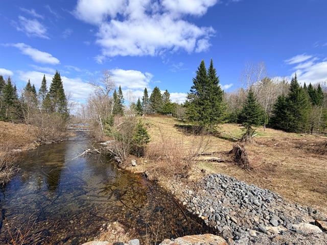 Land/Lot