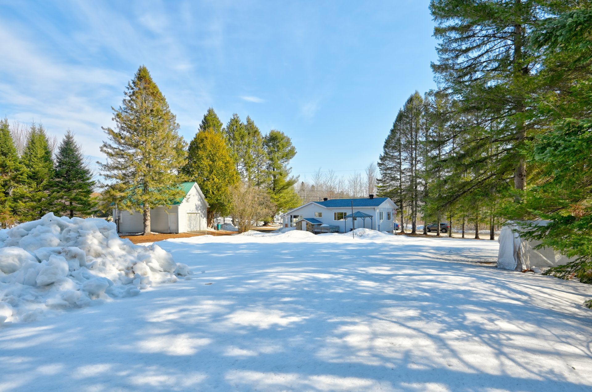 Overall View