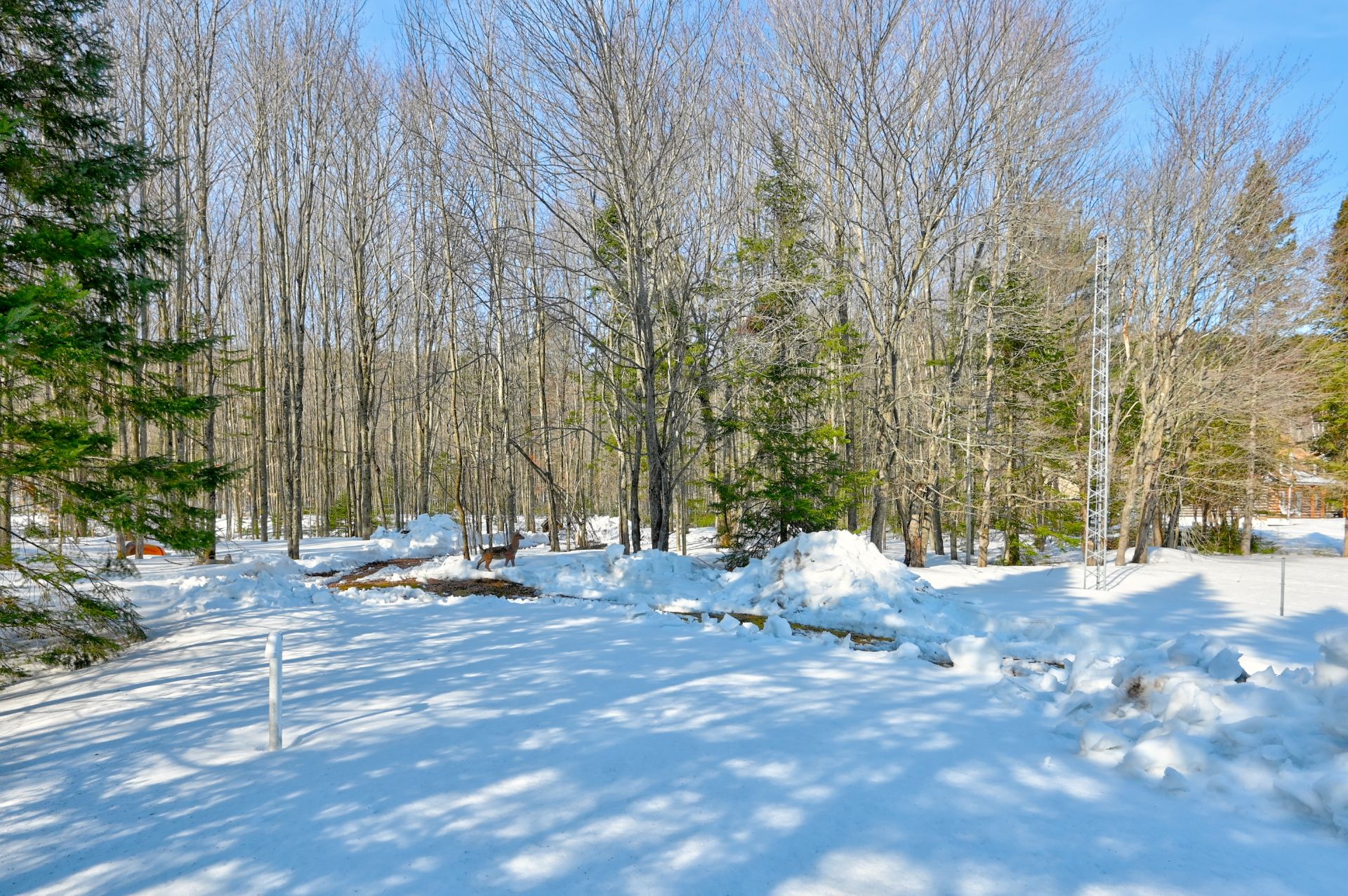 Overall View