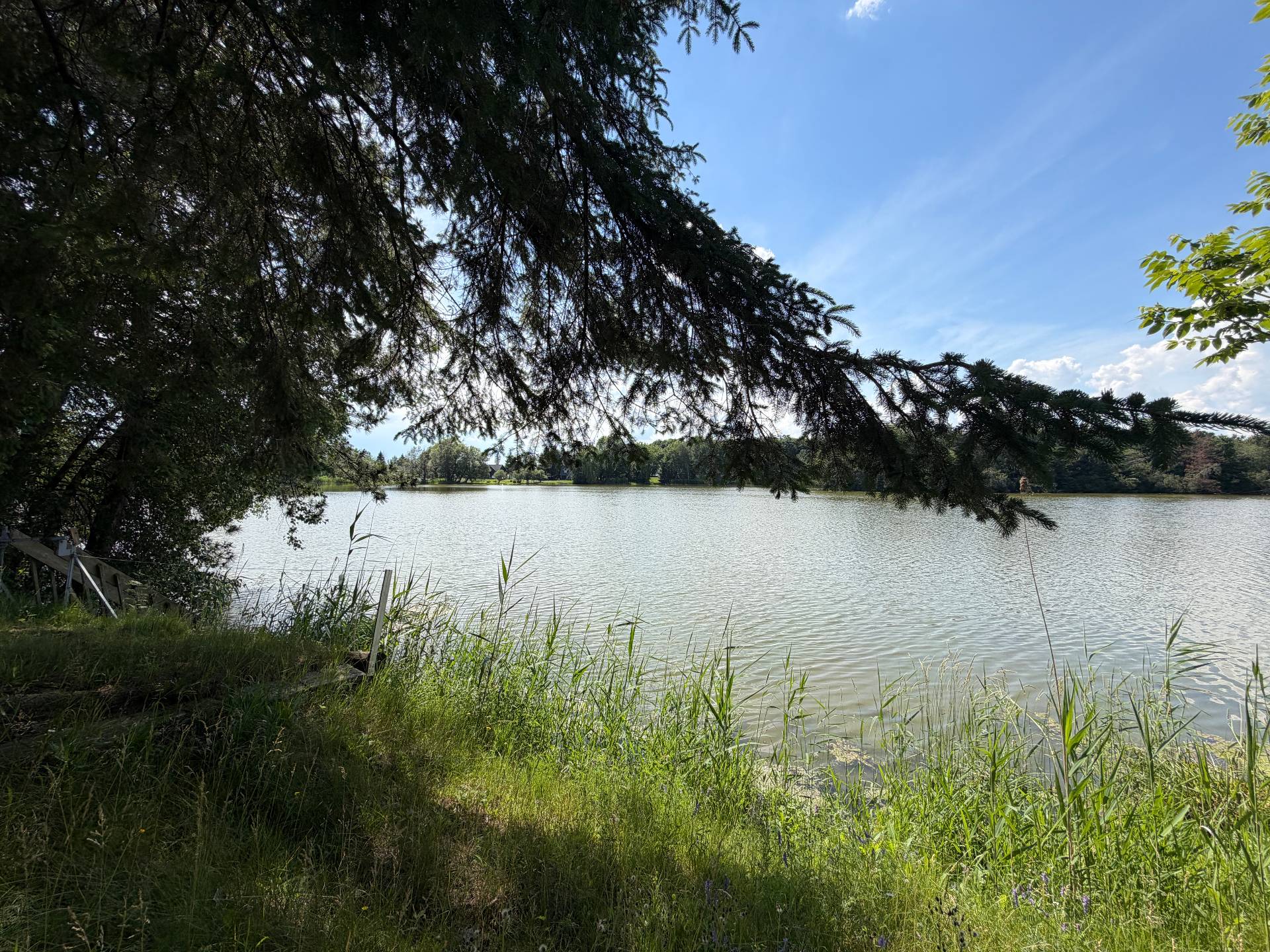 Bord de l'eau