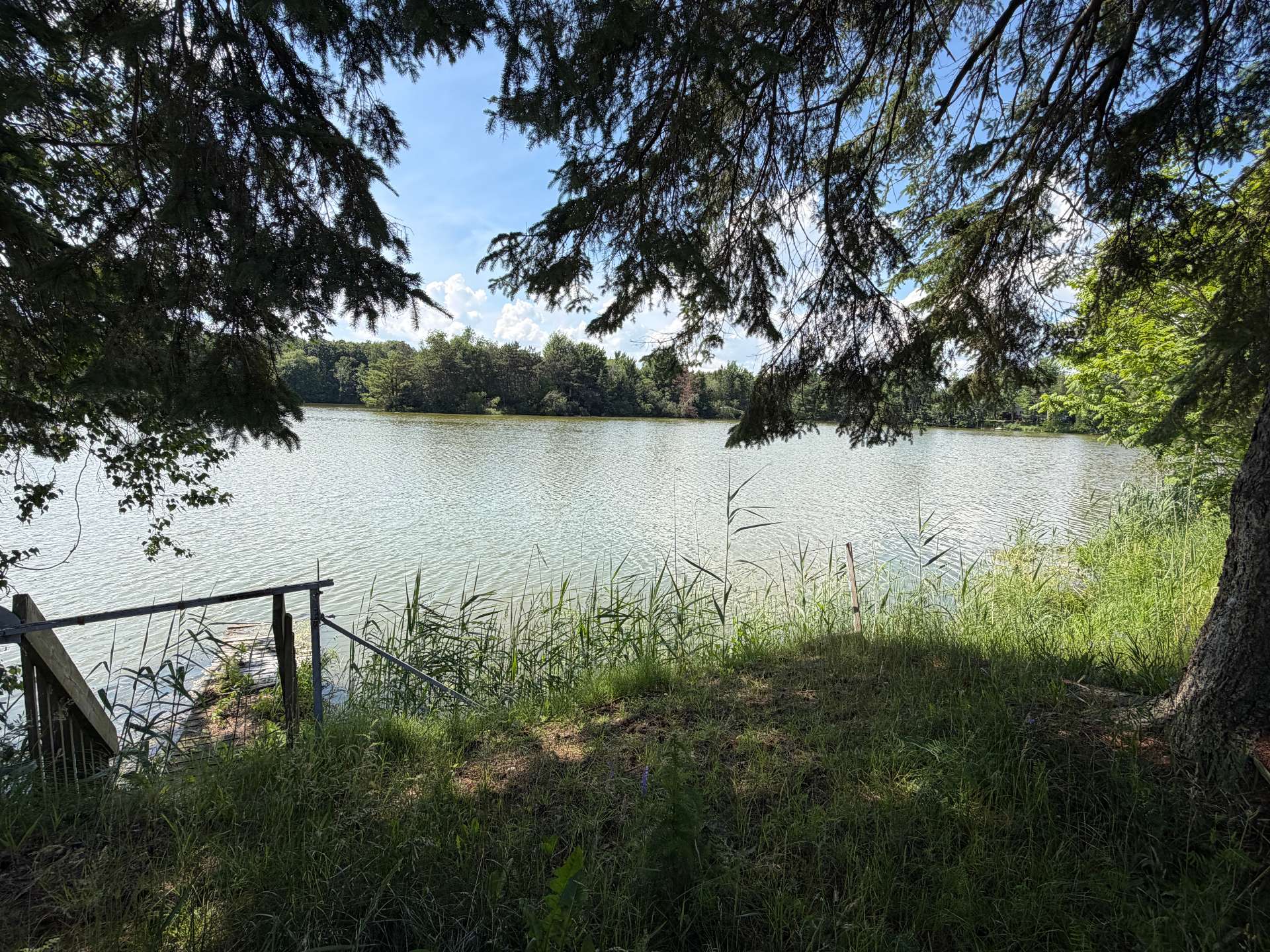 Bord de l'eau