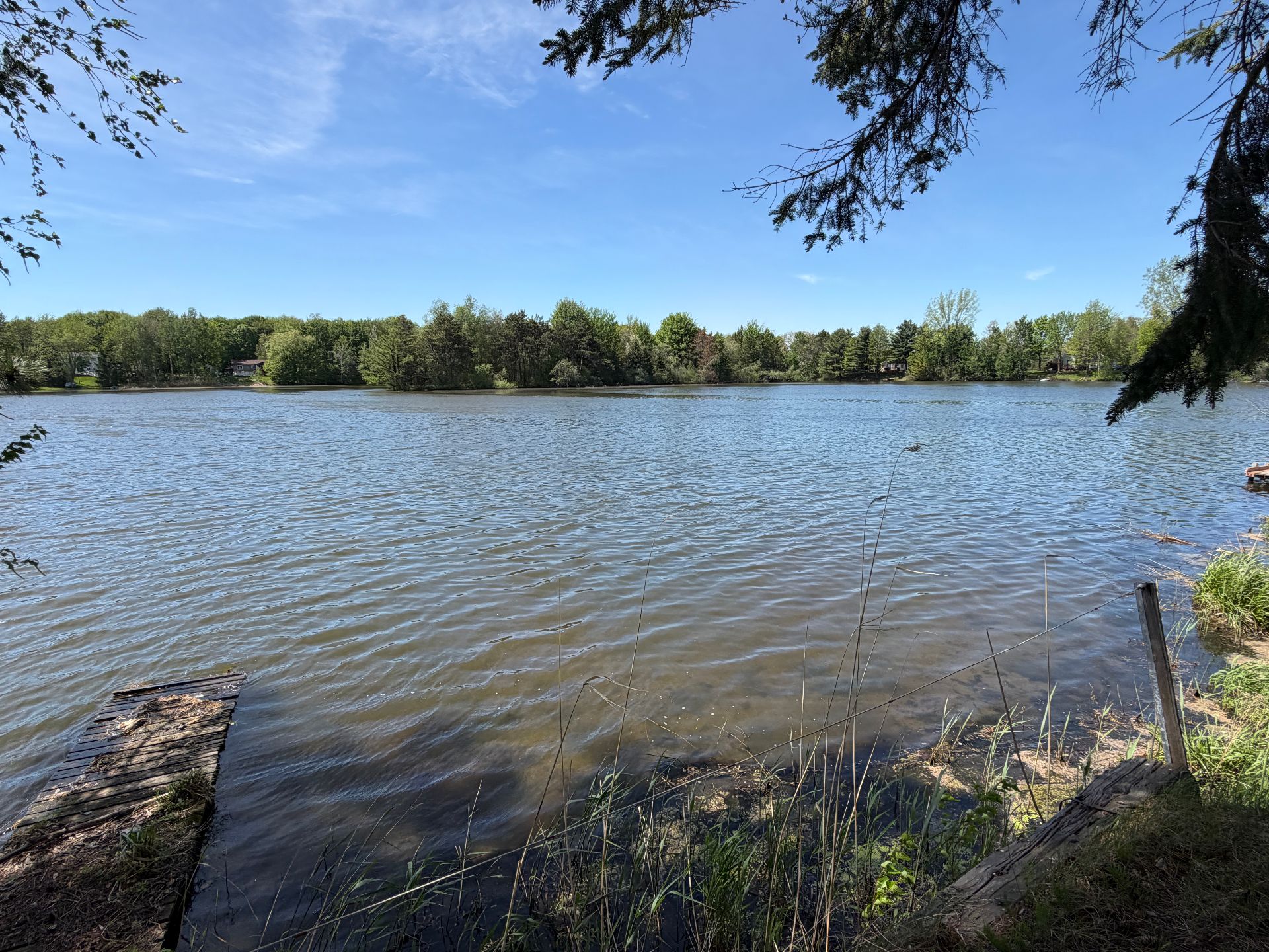 Vue sur l'eau