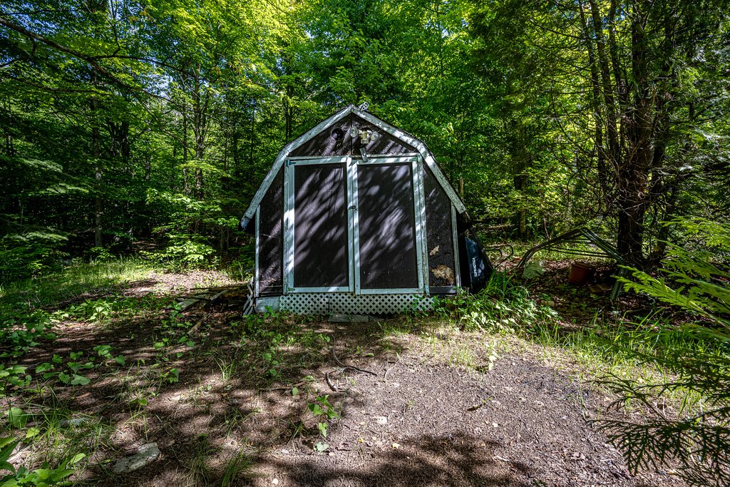 Shed