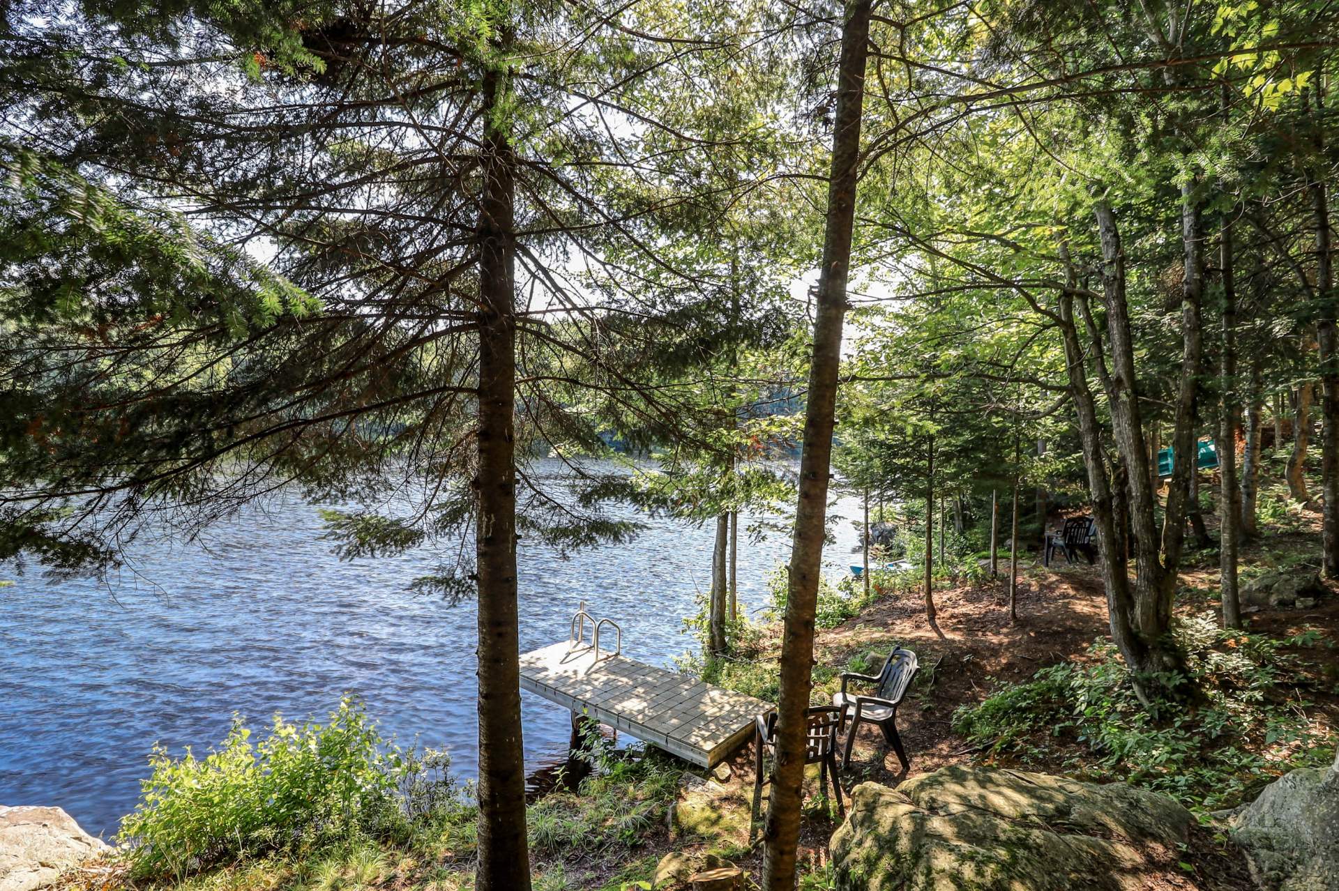 Bord de l'eau