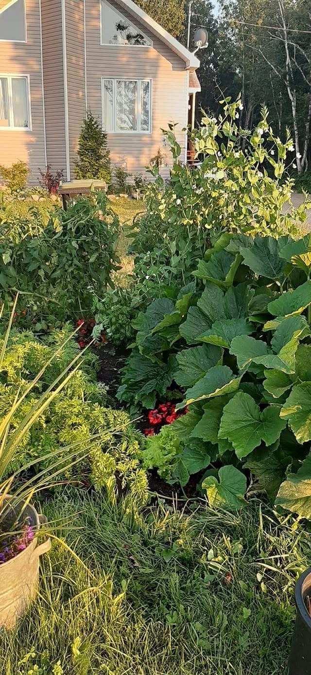 aménagement paysager