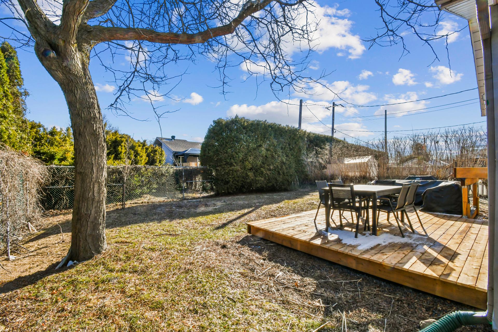 Backyard