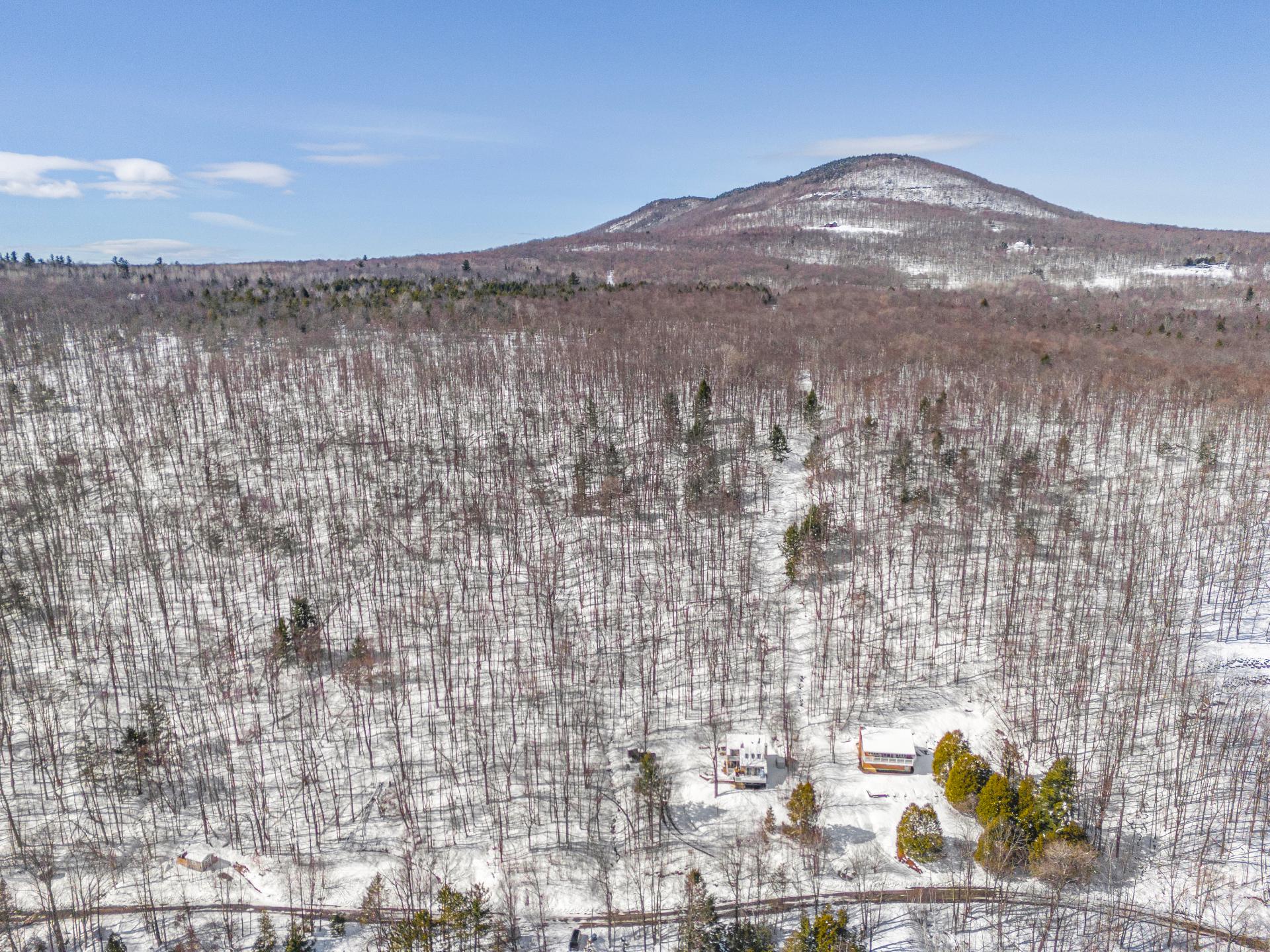 Proximité du Mont Owl's Head