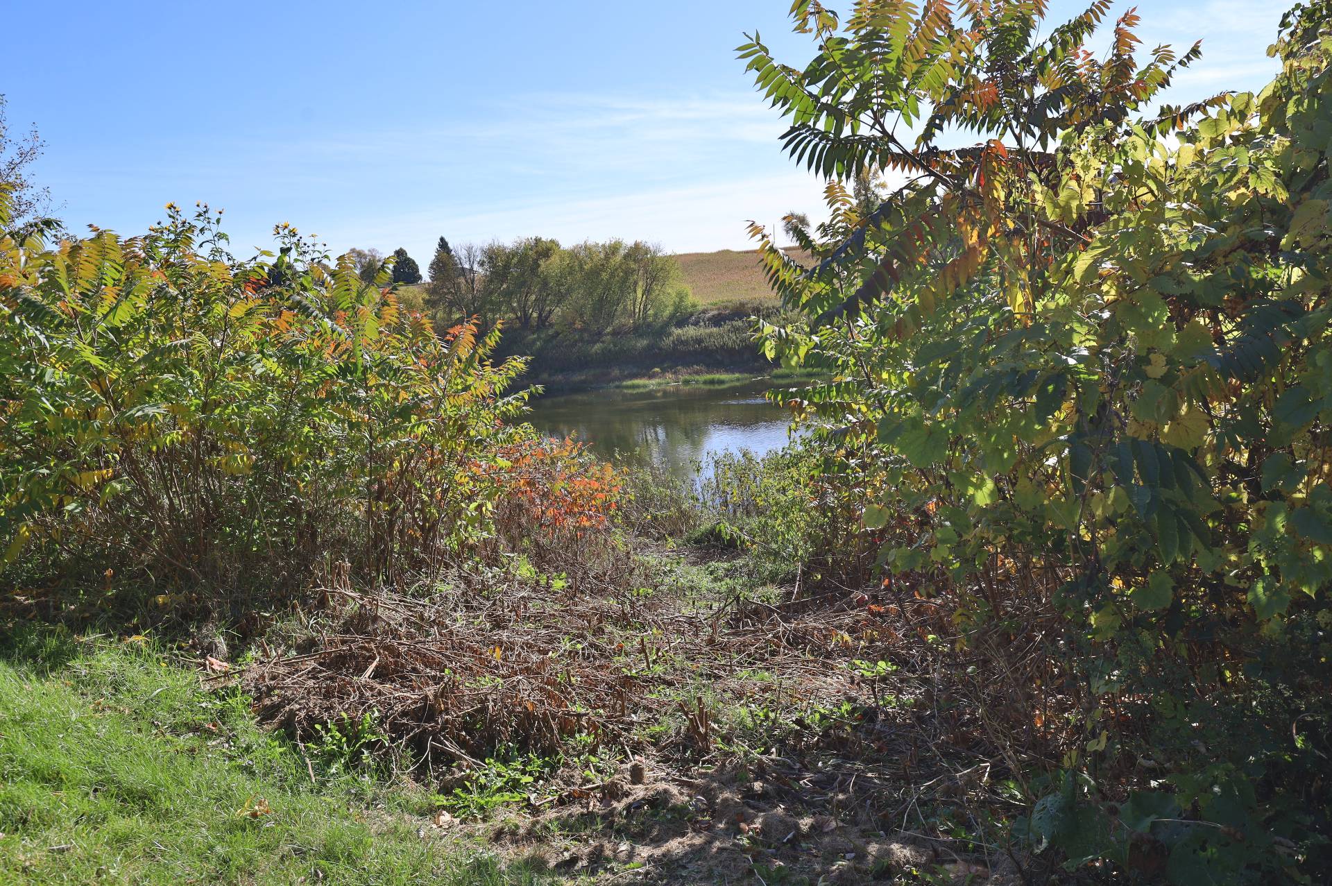 Accès au plan d'eau