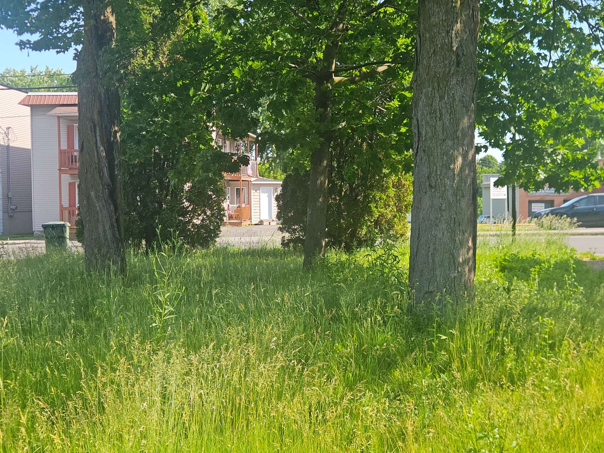 Land/Lot