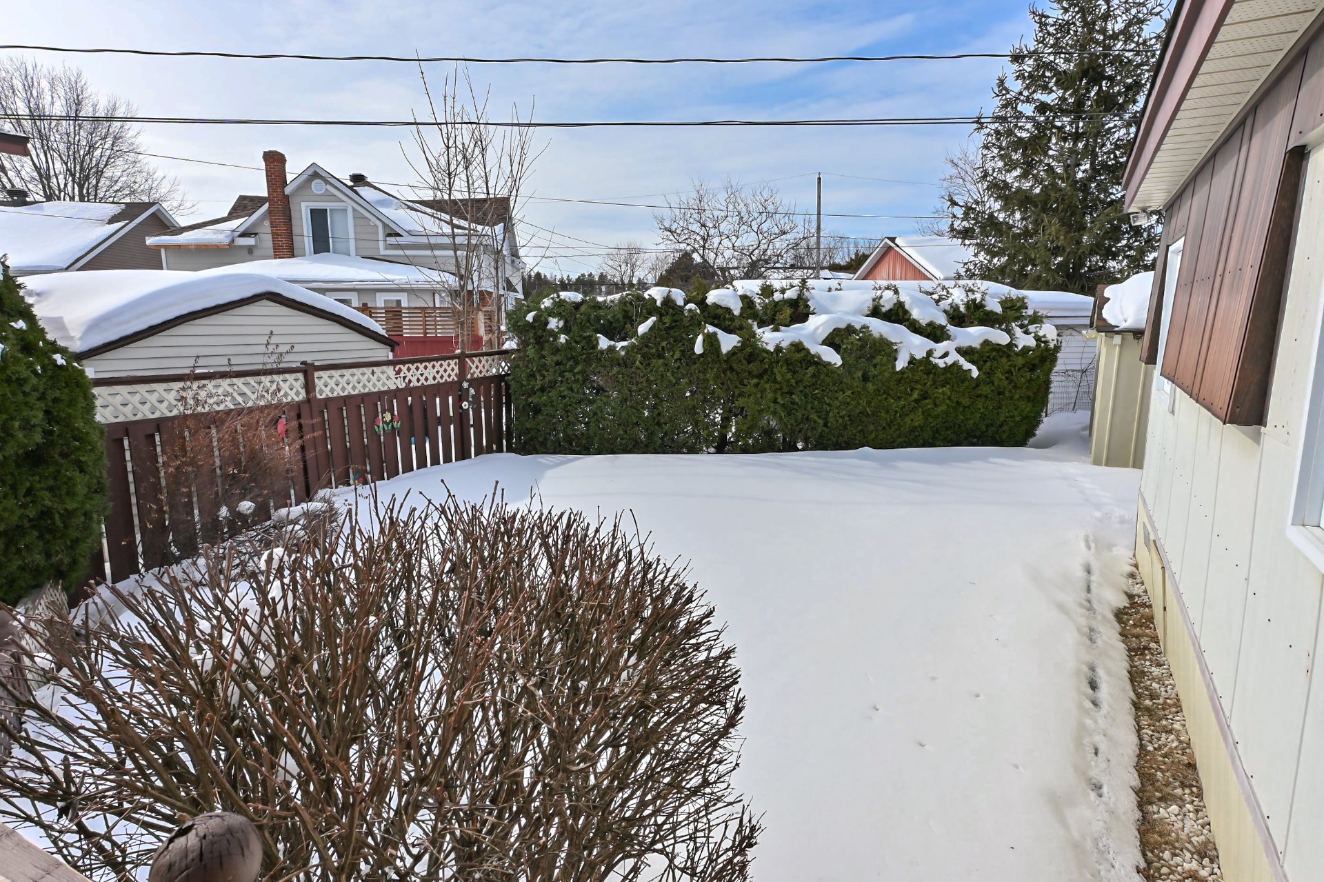 Backyard