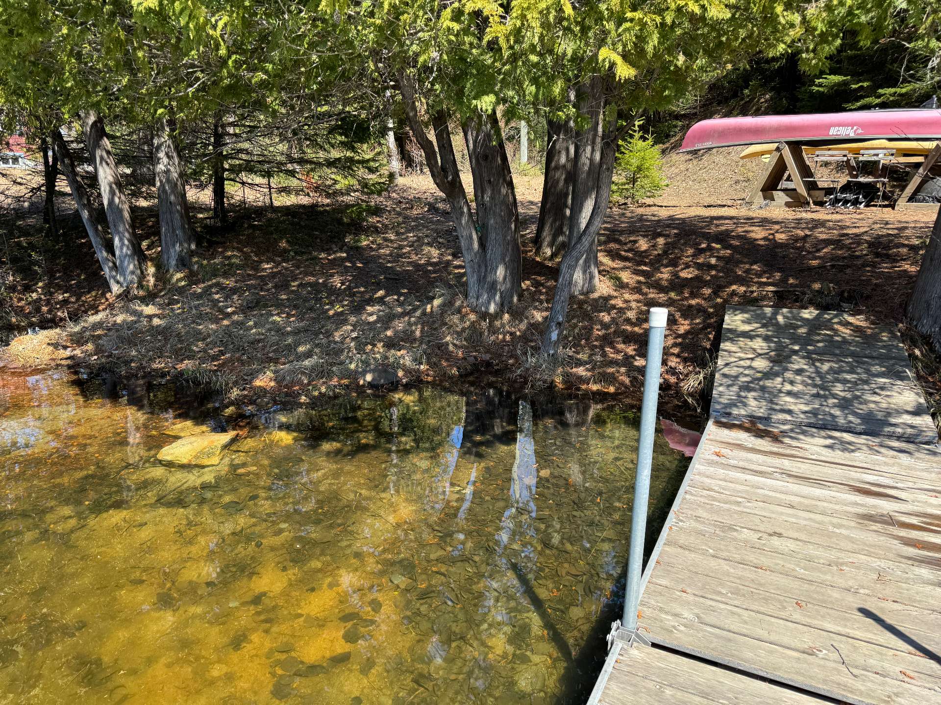 Bord de l'eau