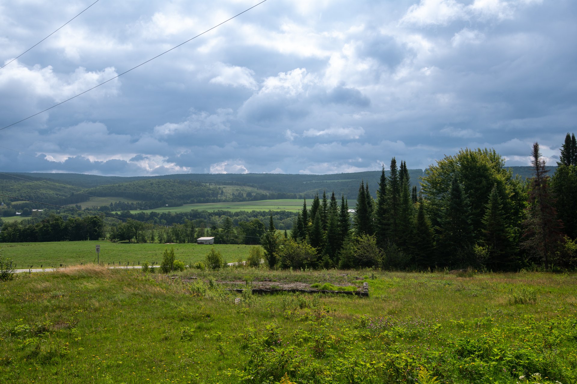 View
