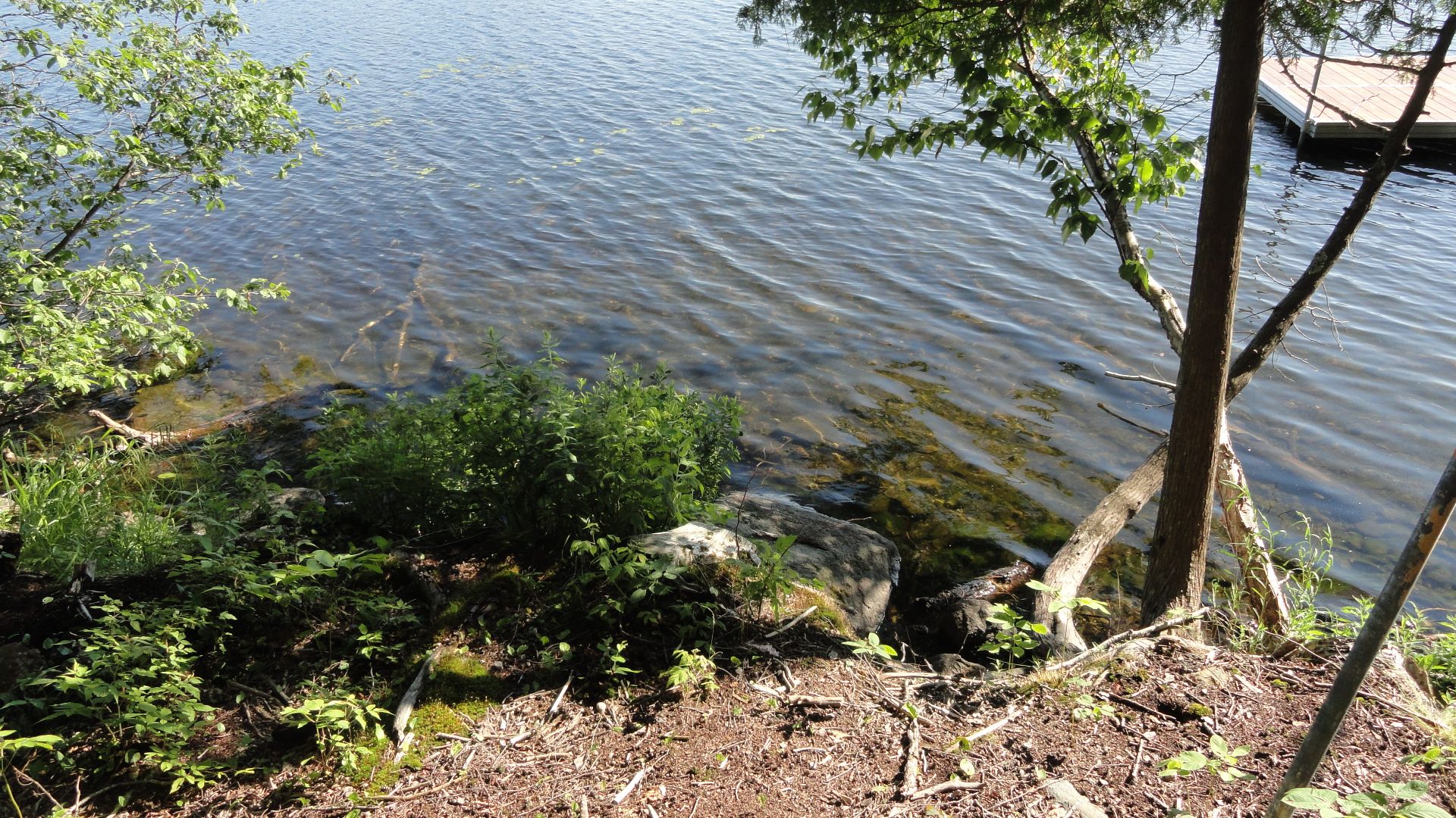 Bord de l'eau