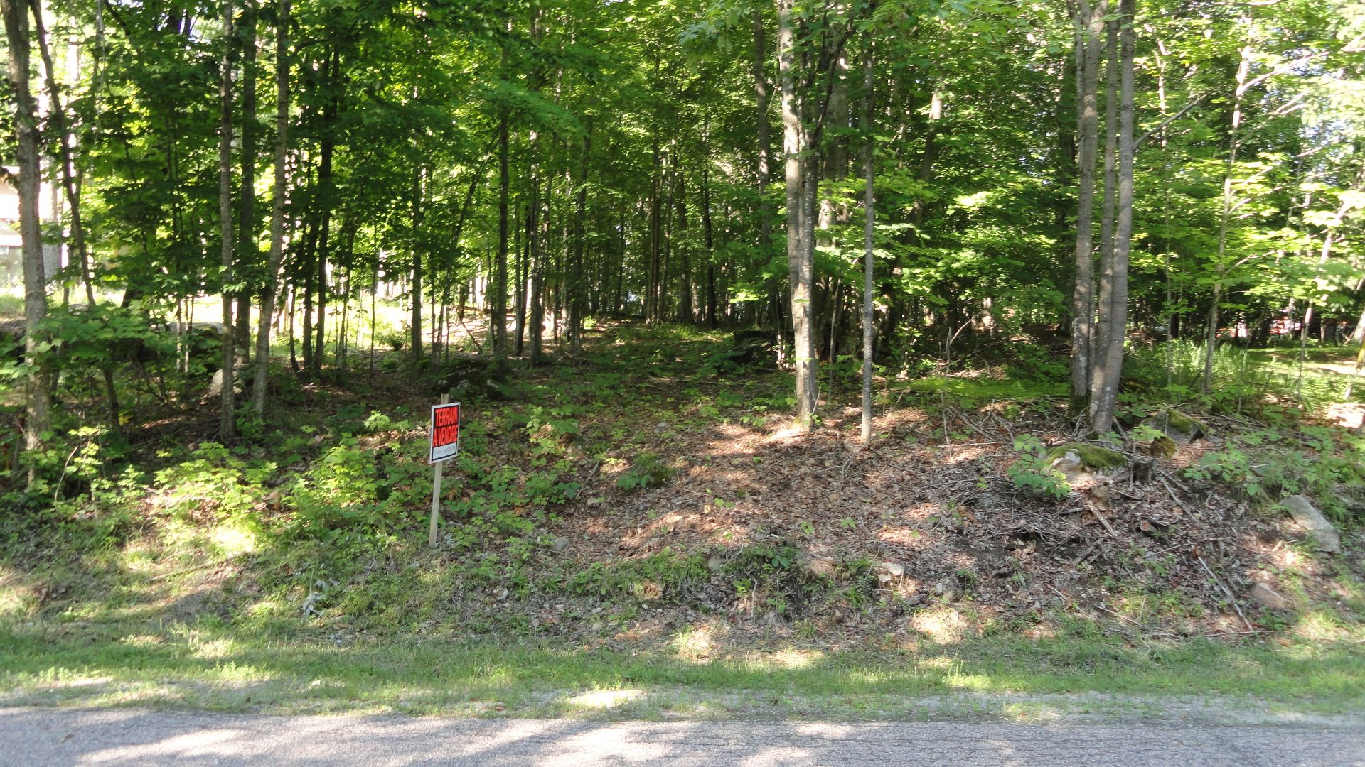 Land/Lot