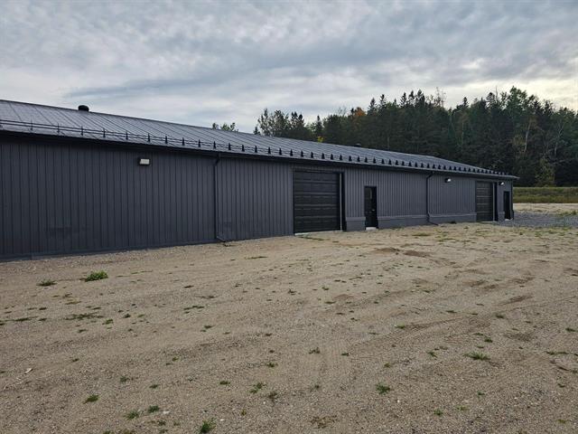 Overall View
