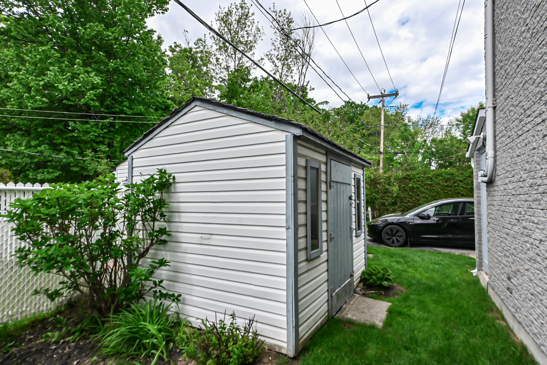 Shed