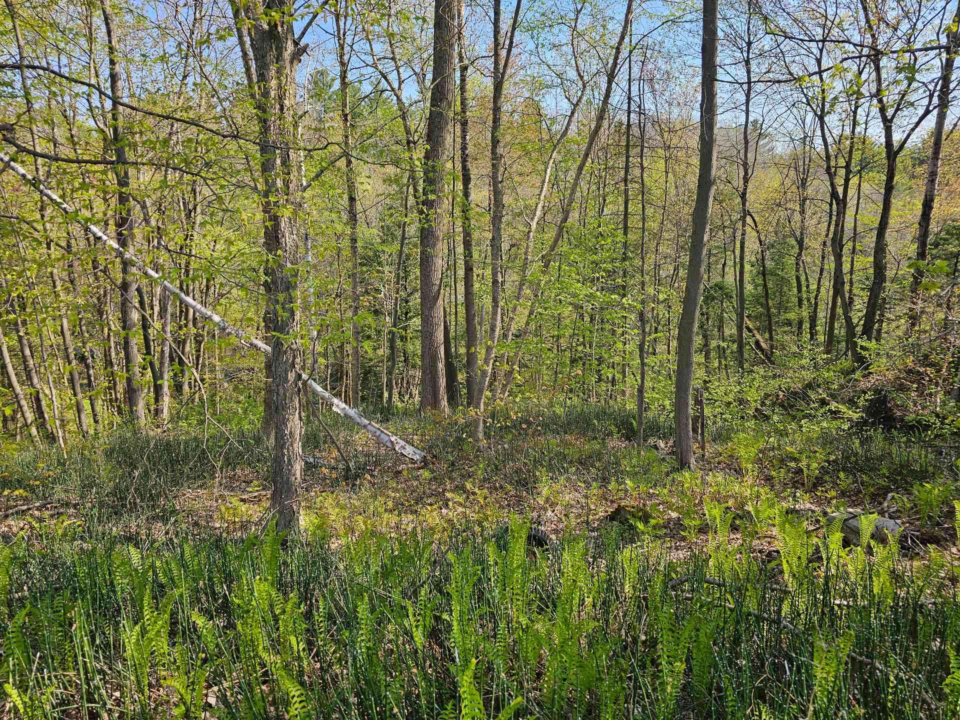 en pente vers la rivière