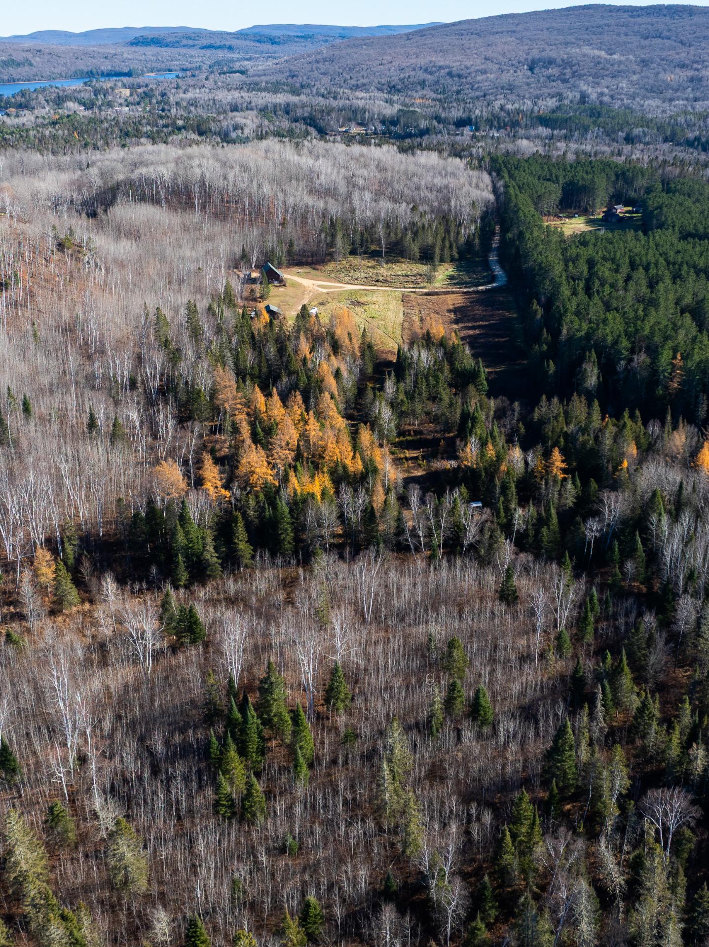 Aerial photo