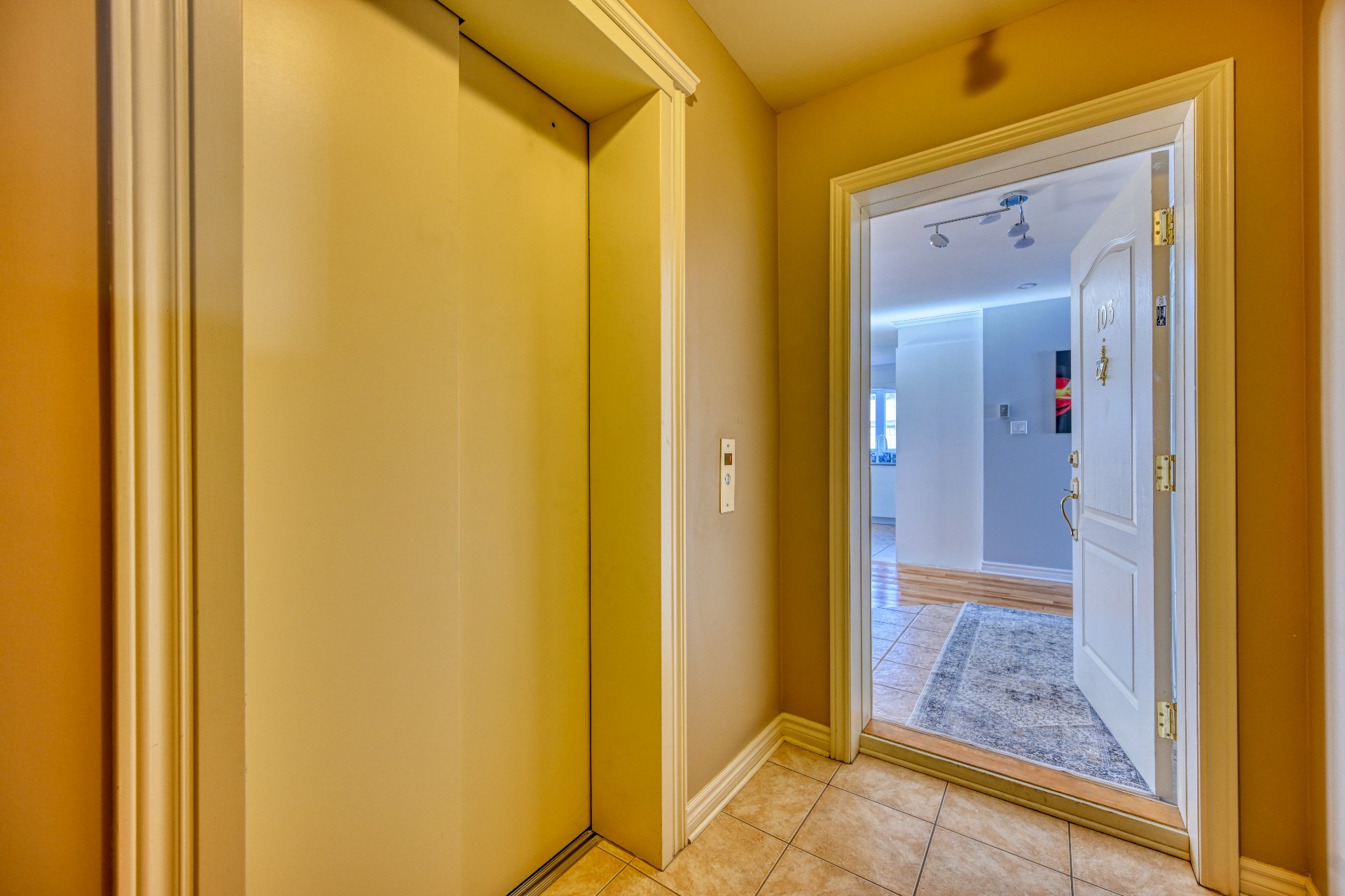Hall d'entrée/Vestibule