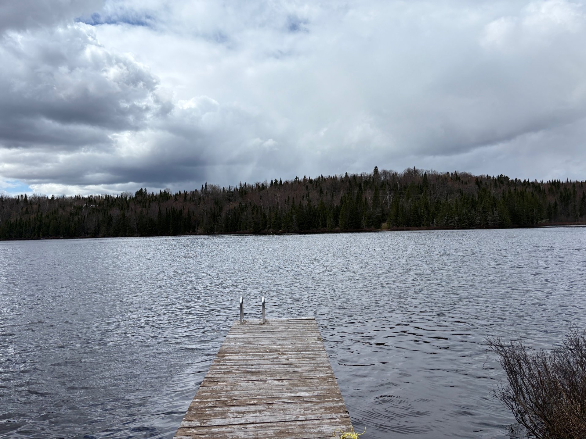 Bord de l'eau