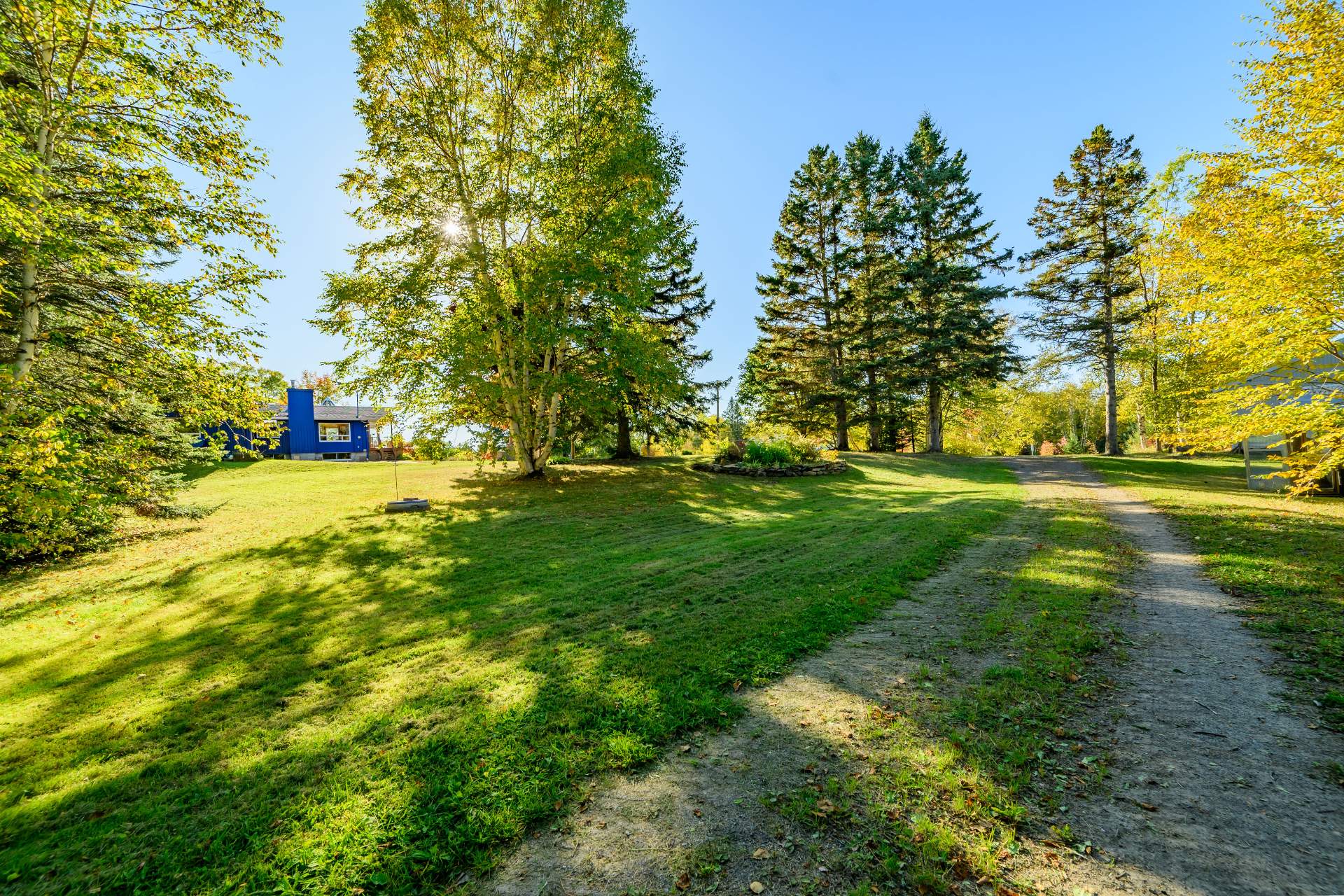 Overall View
