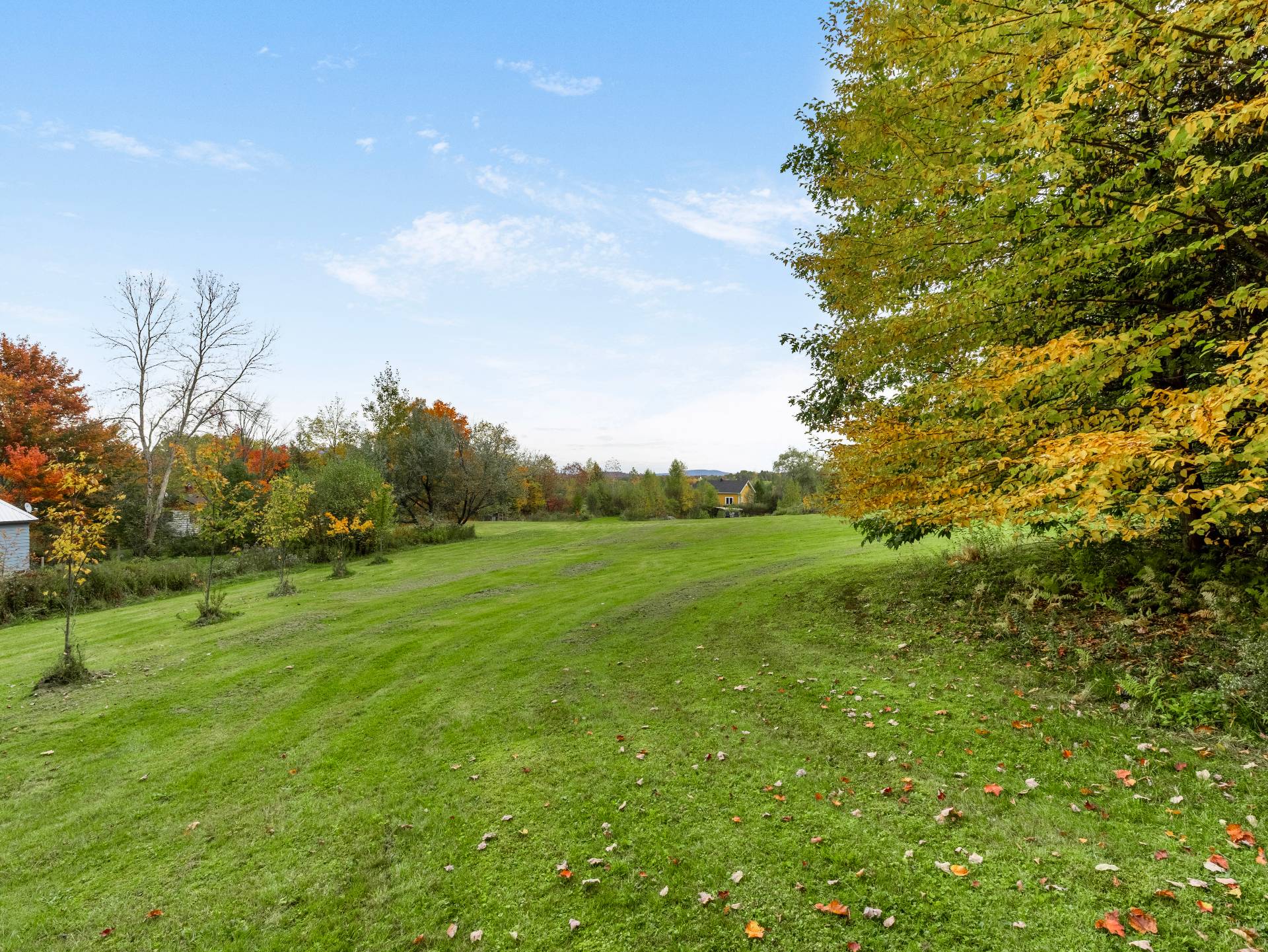 Land/Lot