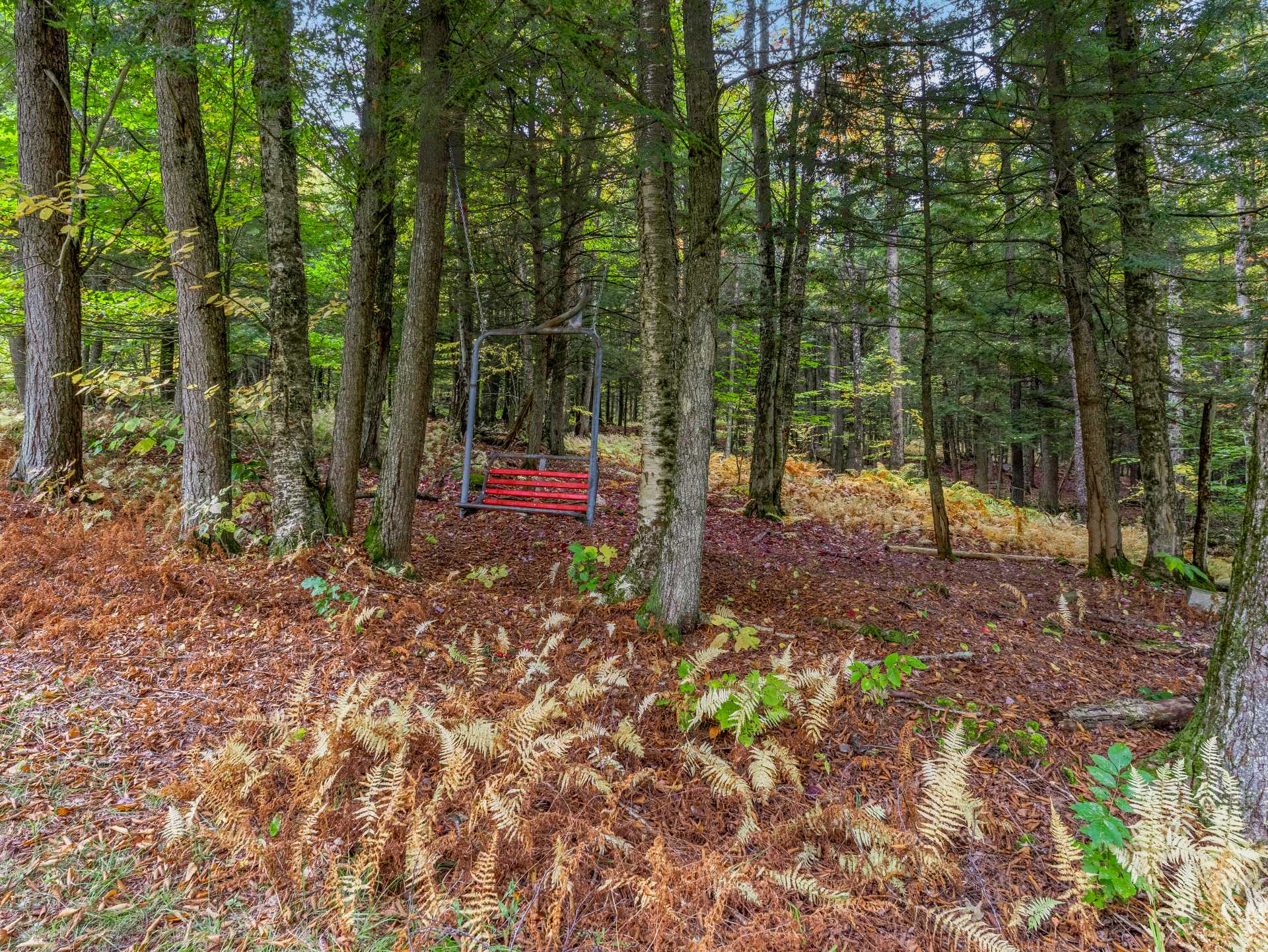Land/Lot