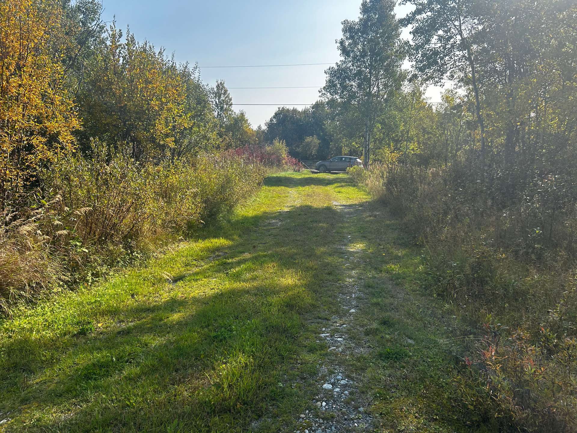 Terre/Terrain