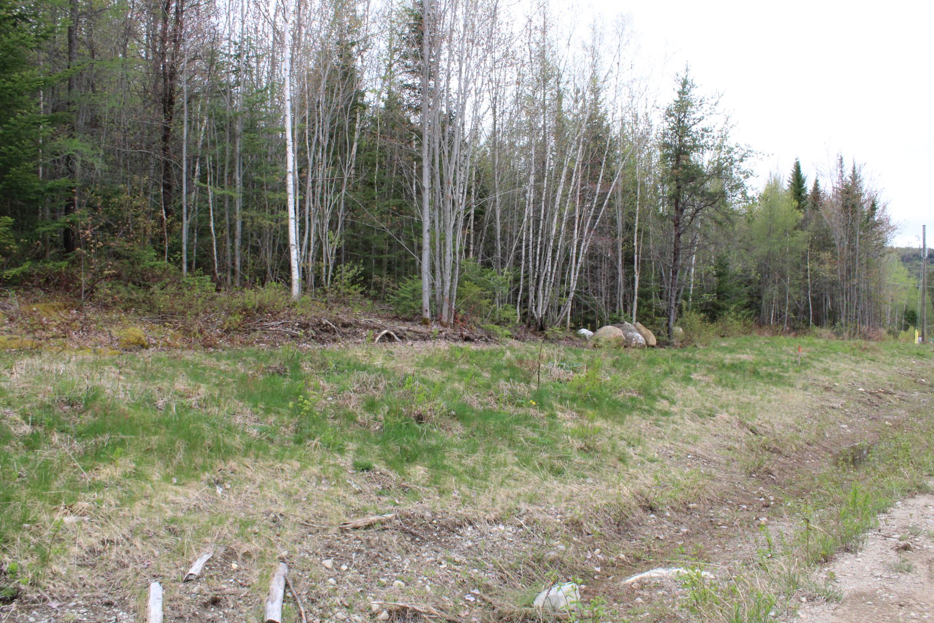 Land/Lot