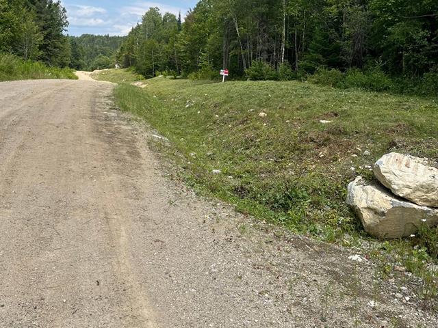 Land/Lot